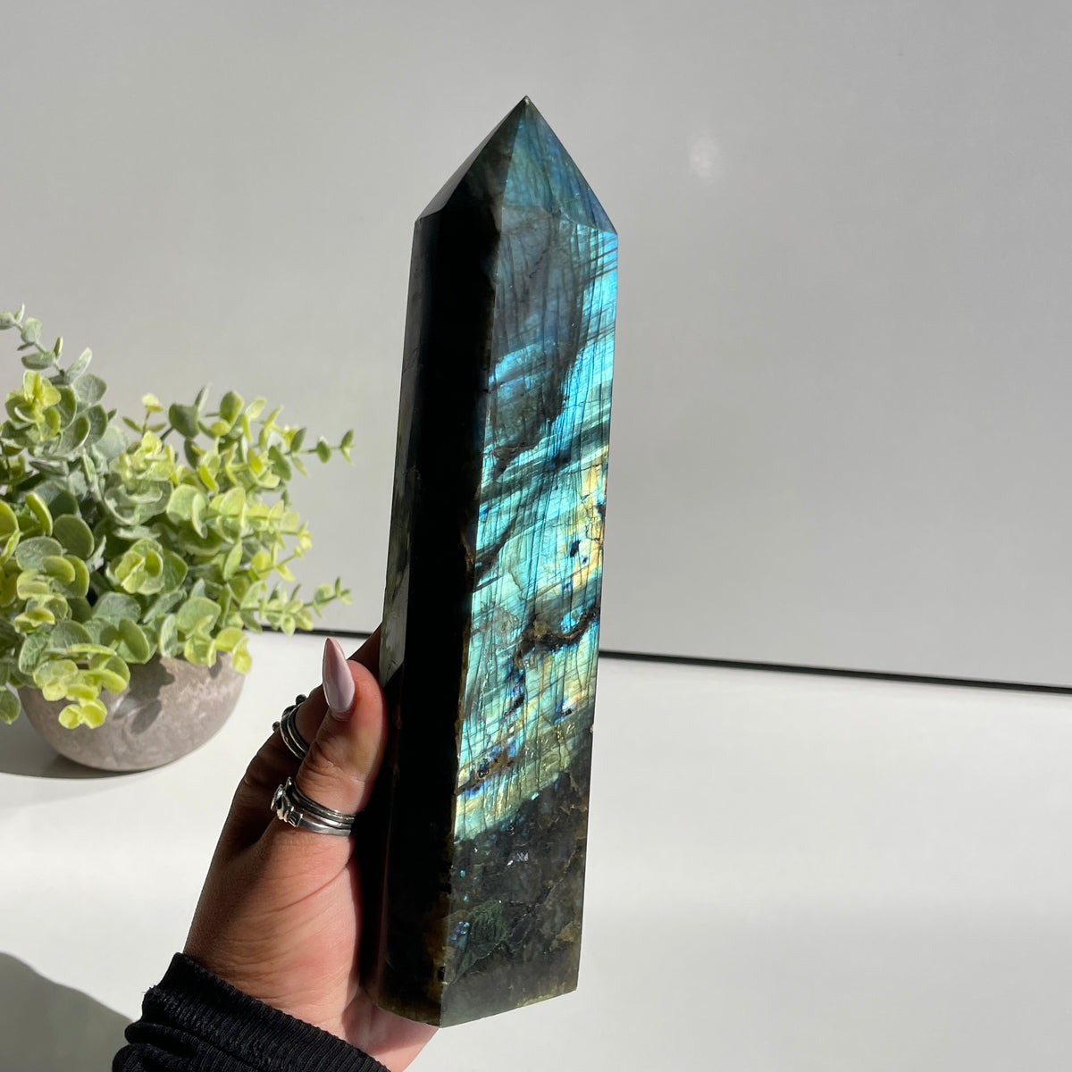 Labradorite Generator 22cm