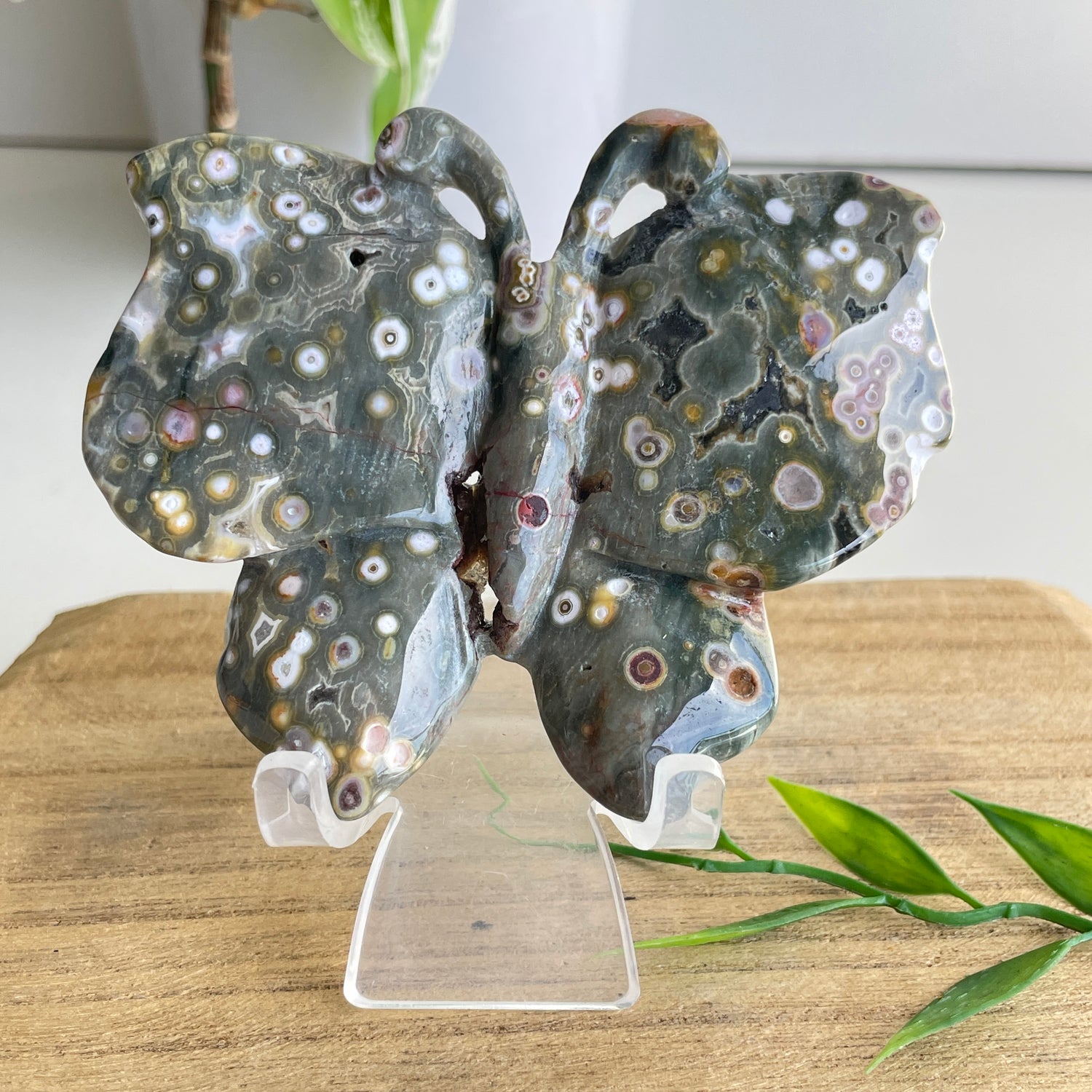 Orbicular Ocean Jasper Butterfly 9.1cm
