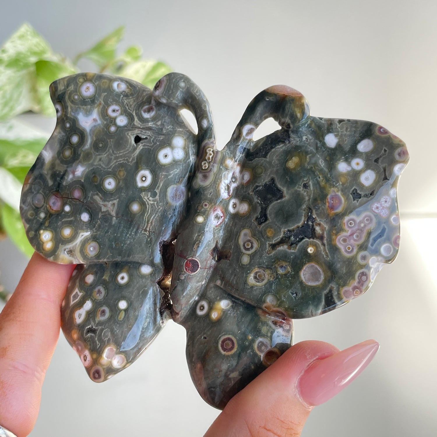 Orbicular Ocean Jasper Butterfly 9.1cm