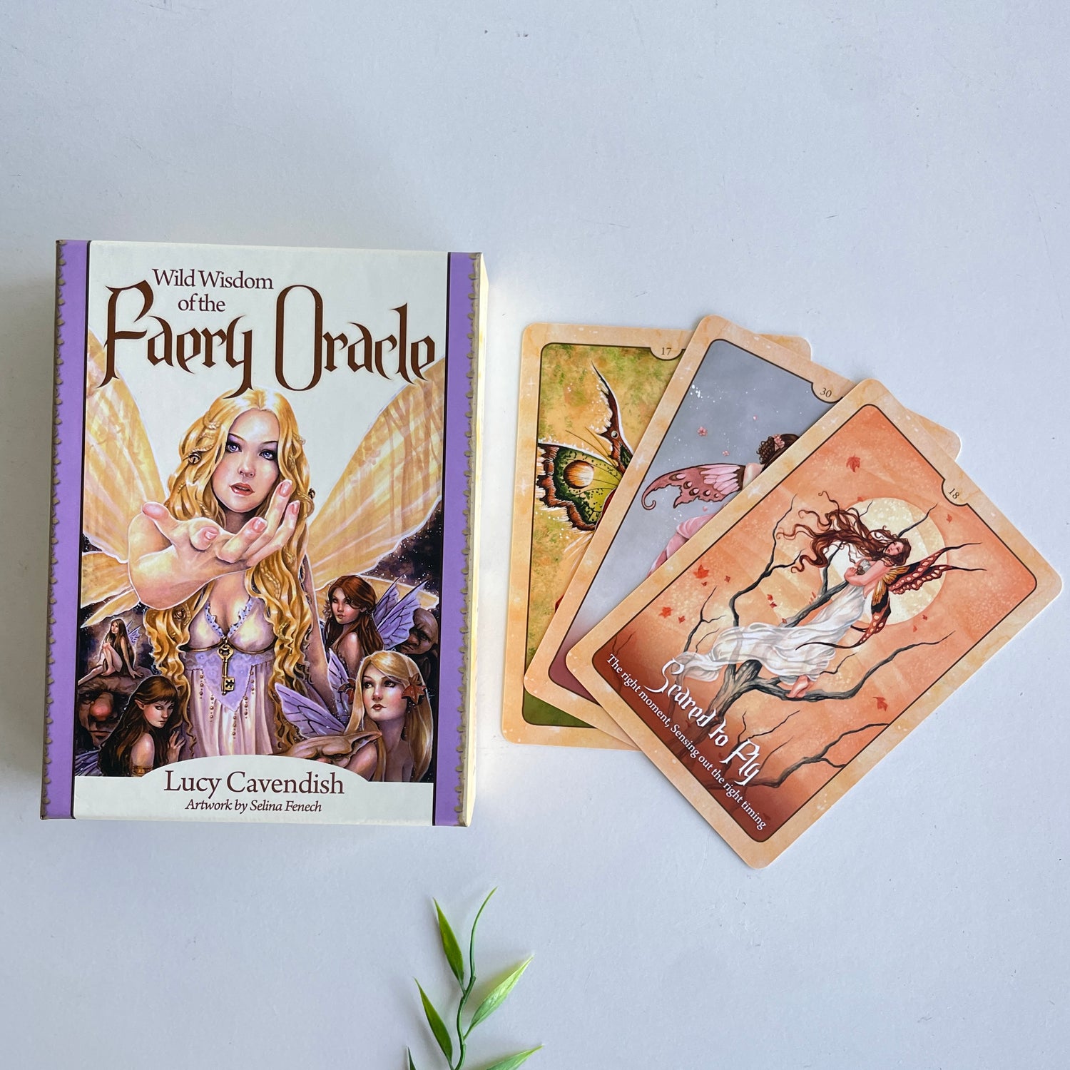 Wild Wisdom of the Faery Oracle