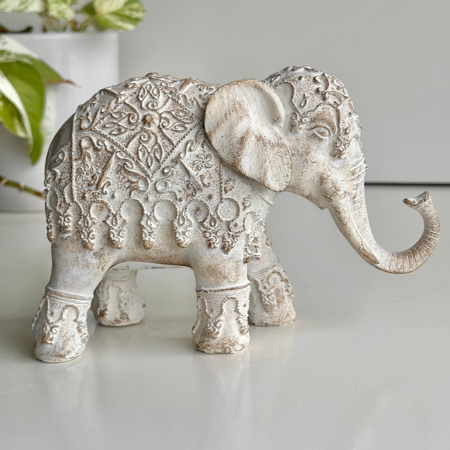 Erica Elephant  Beige OD1460