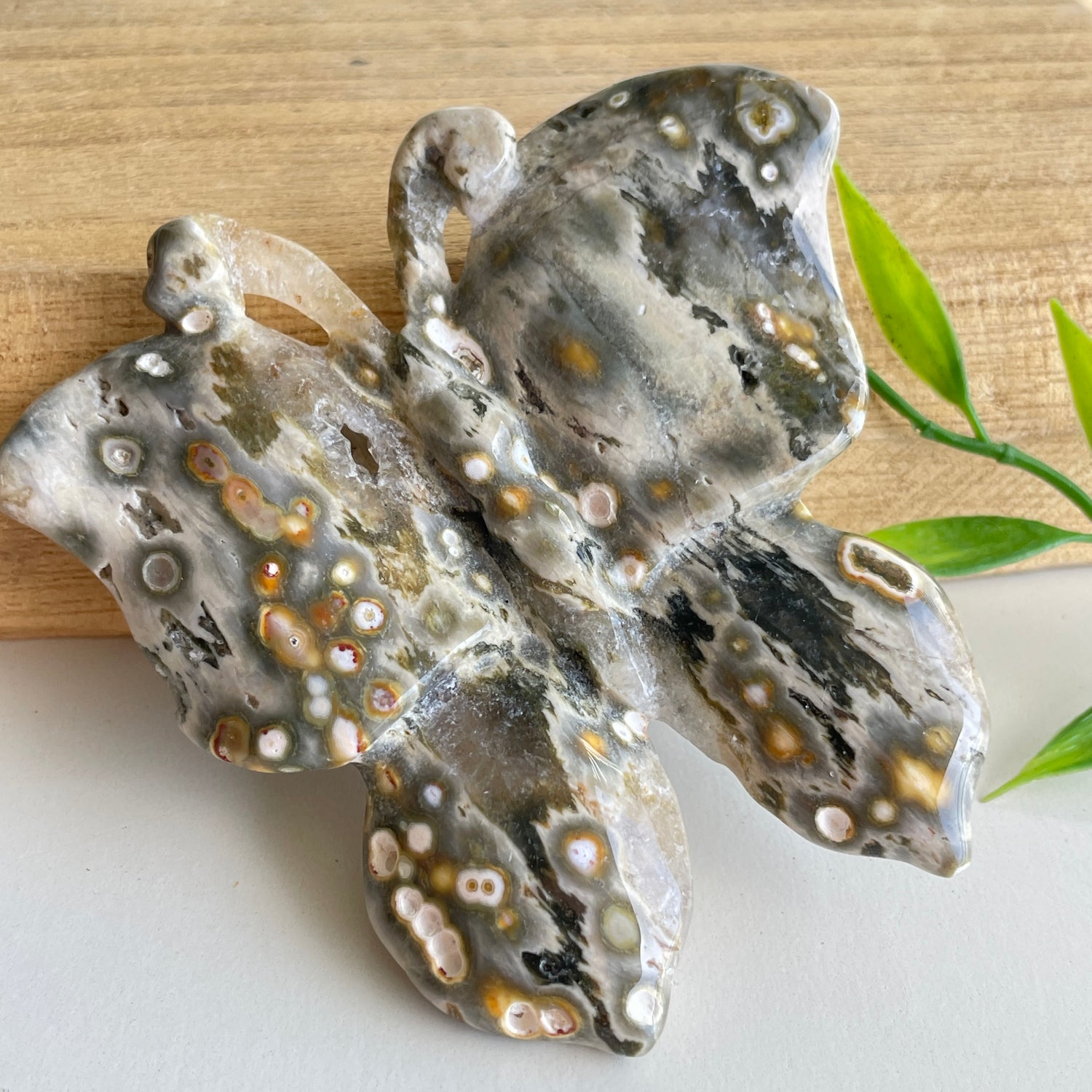 Orbicular Ocean Jasper Butterfly 7.8cm