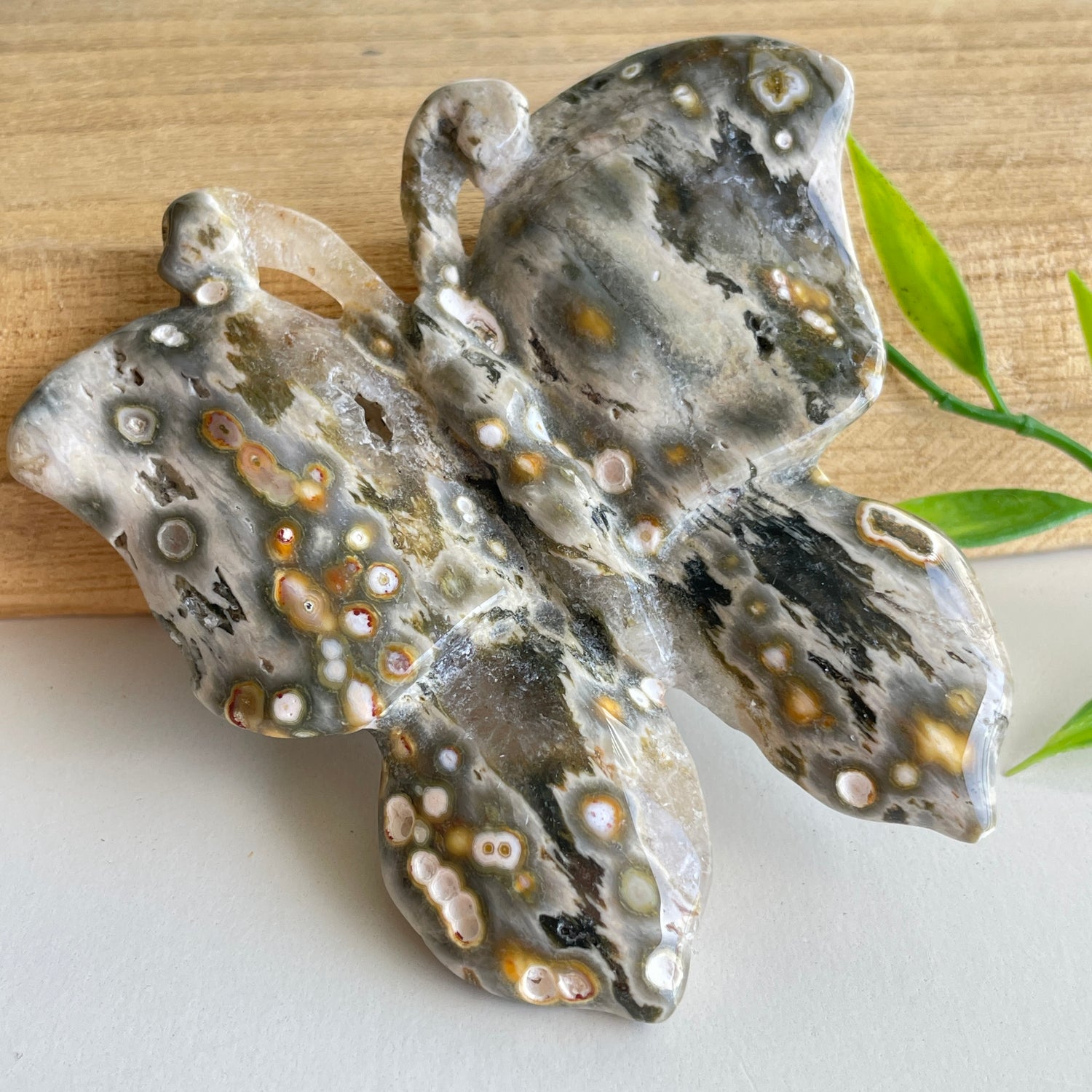 Orbicular Ocean Jasper Butterfly 7.8cm