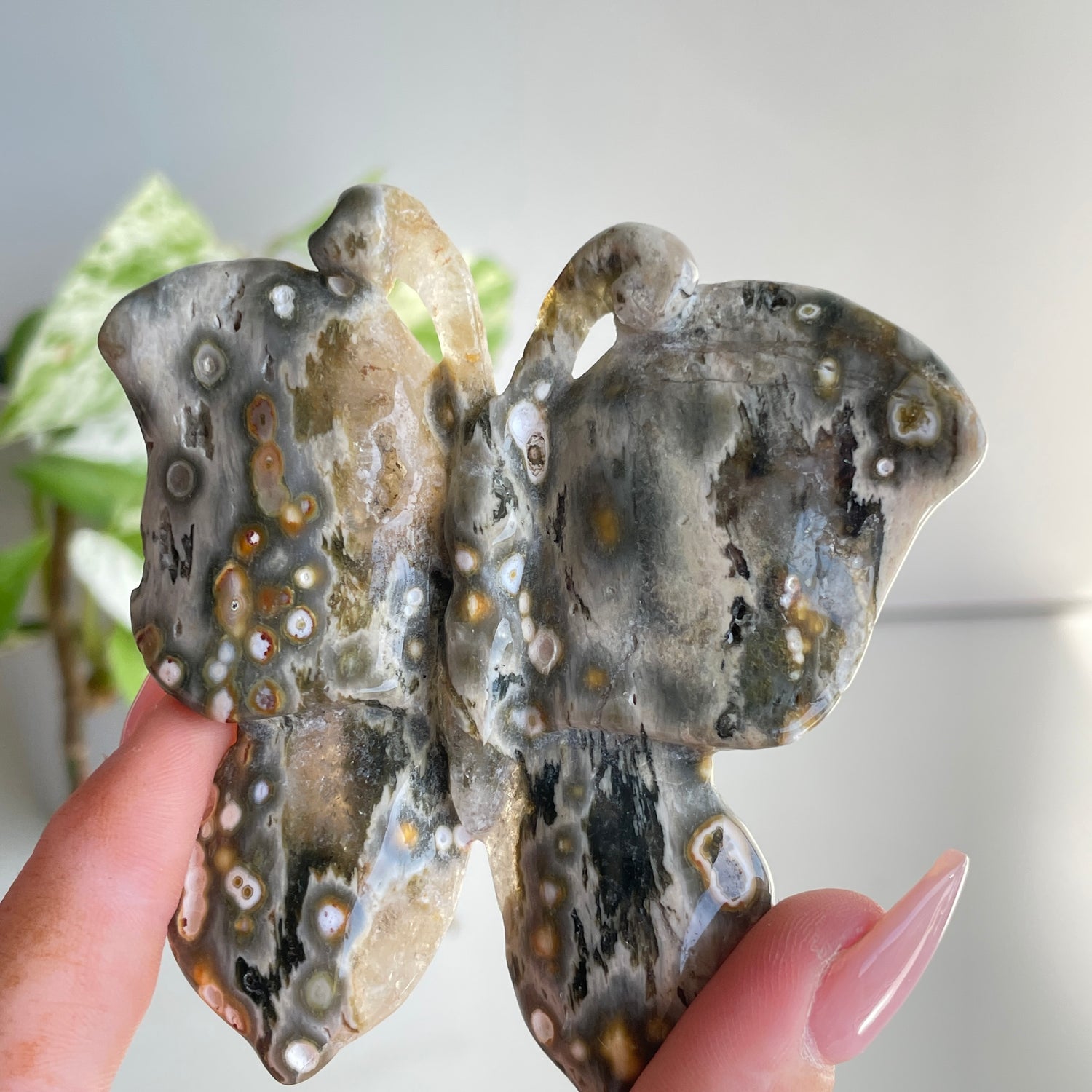 Orbicular Ocean Jasper Butterfly 7.8cm