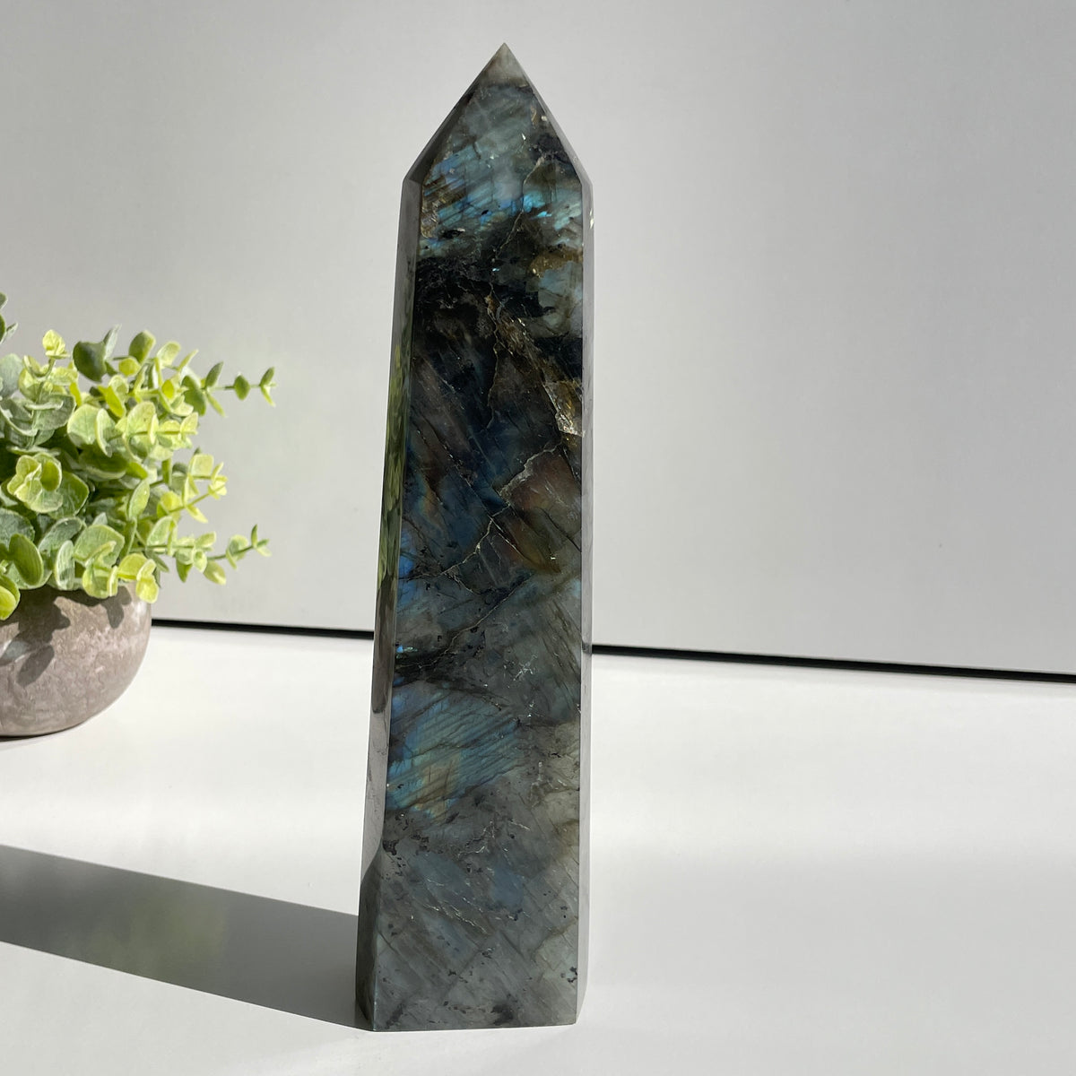 Labradorite Generator 24.4cm