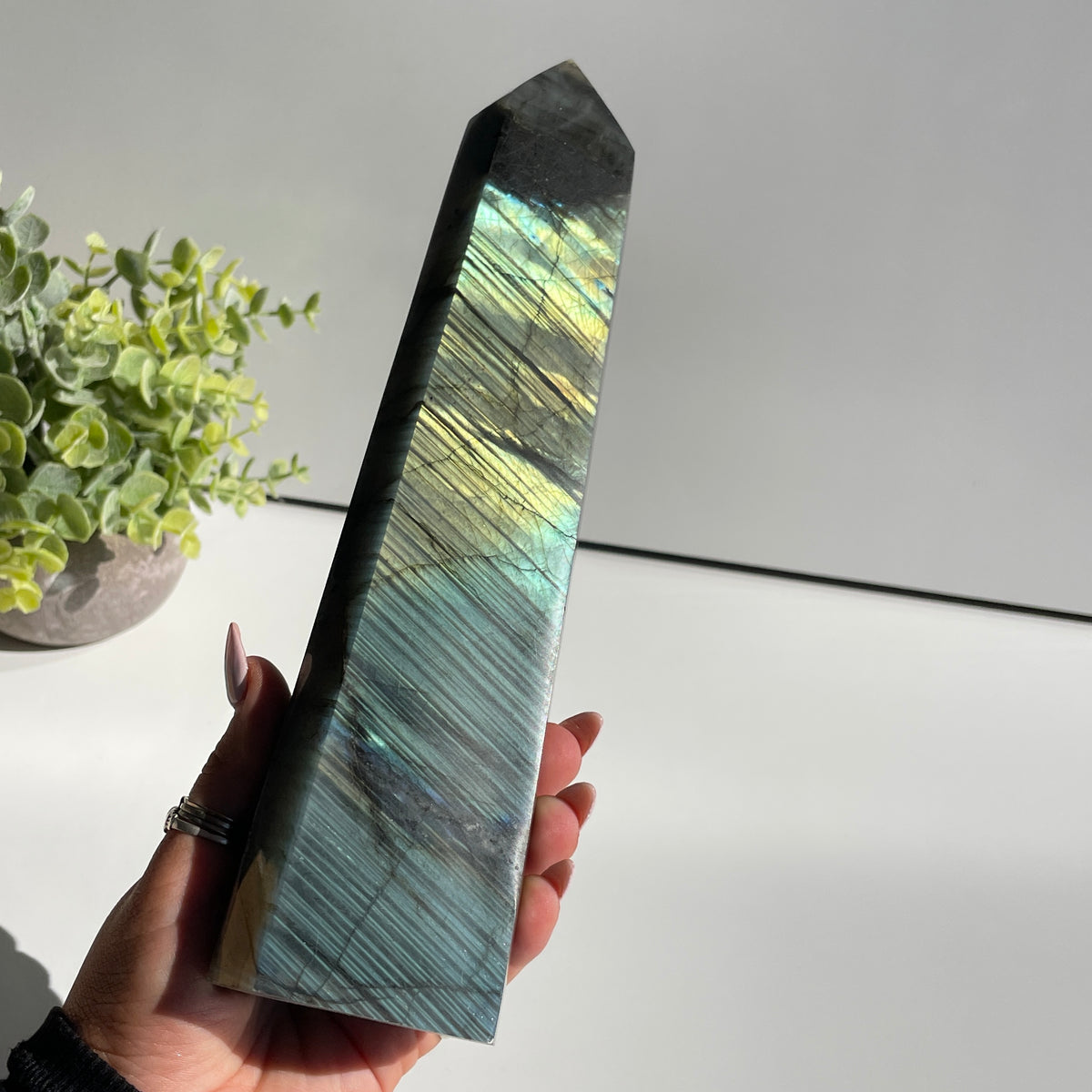 Labradorite Generator 24.4cm