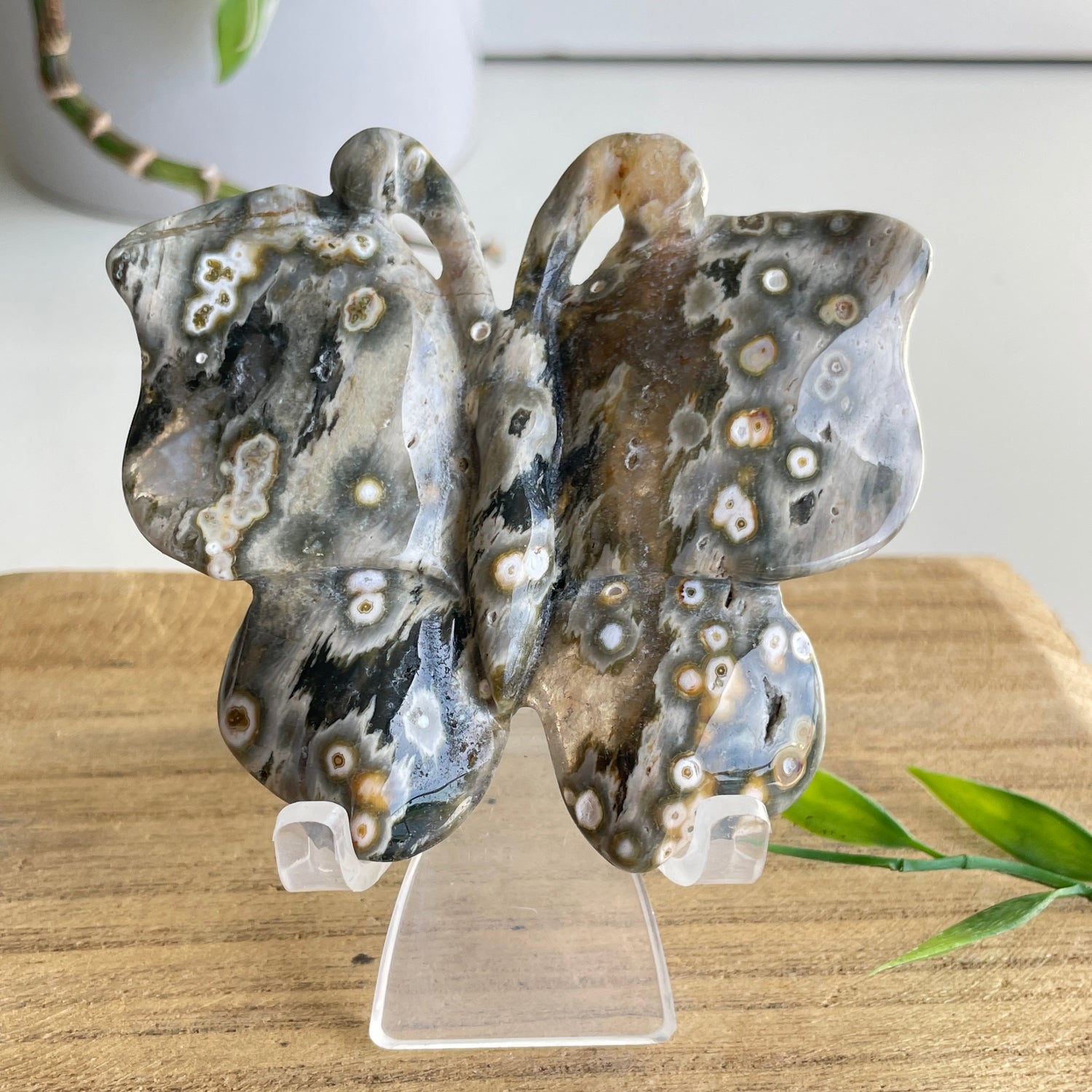 Orbicular Ocean Jasper Butterfly 8cm