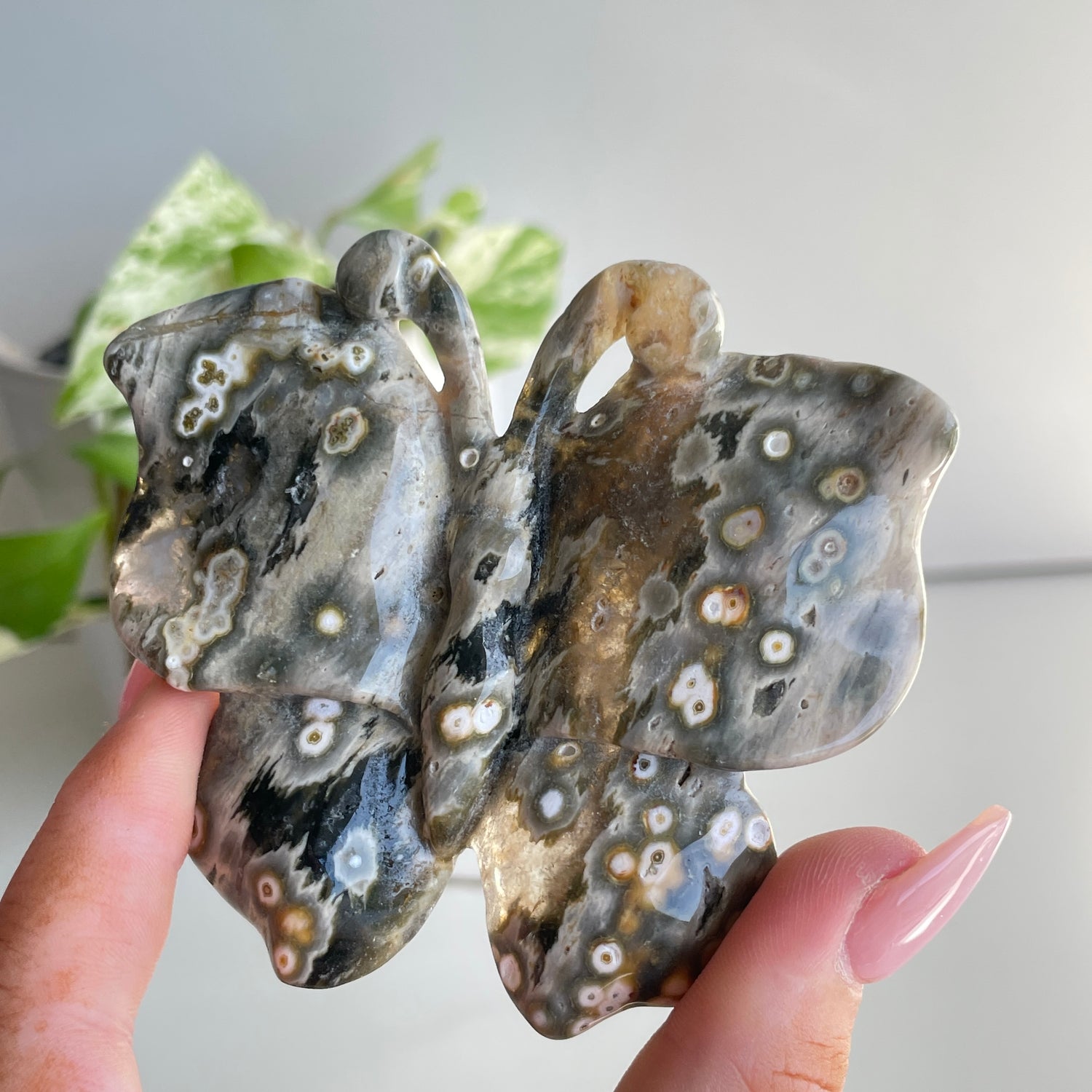 Orbicular Ocean Jasper Butterfly 8cm