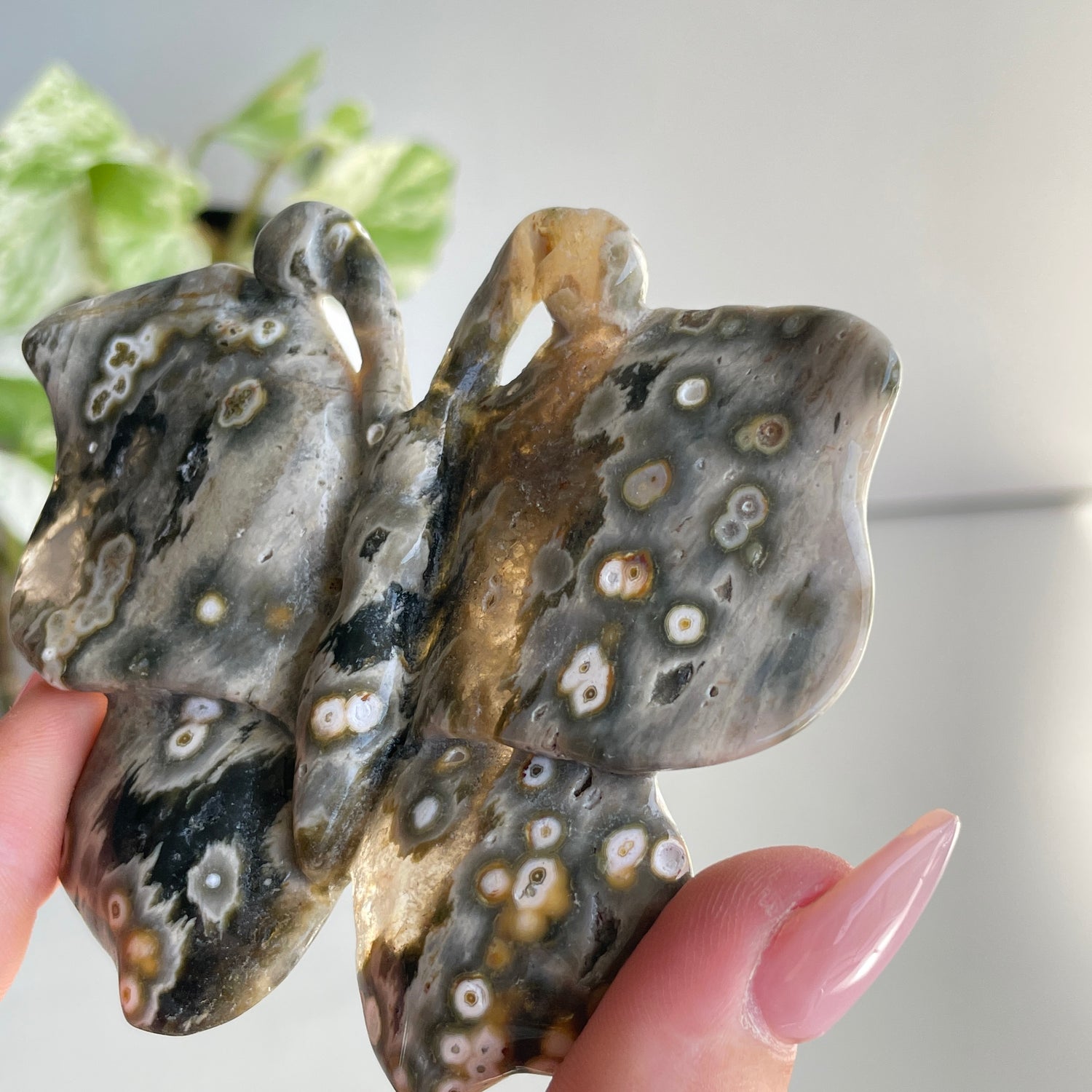 Orbicular Ocean Jasper Butterfly 8cm
