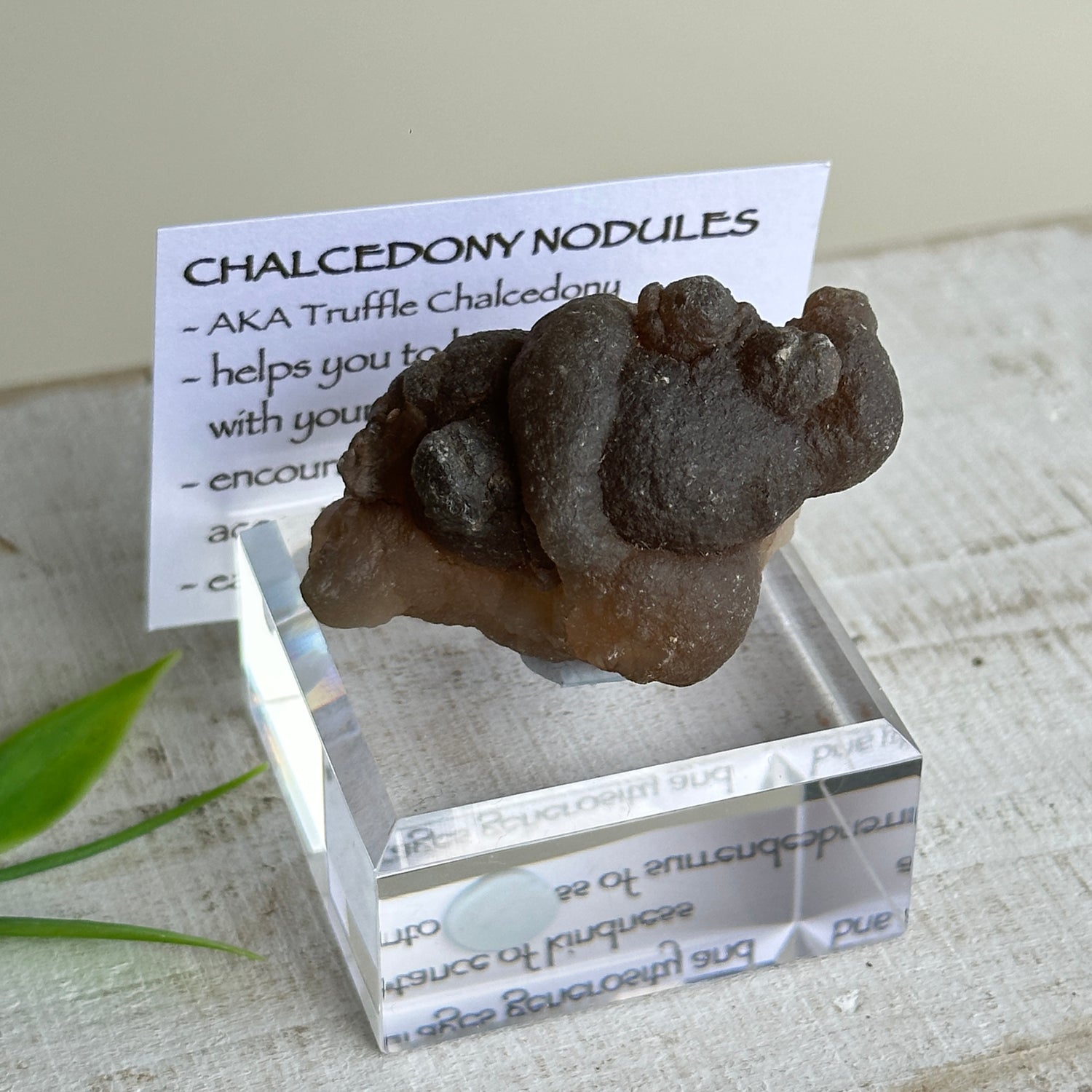 Chalcedony Nodules
