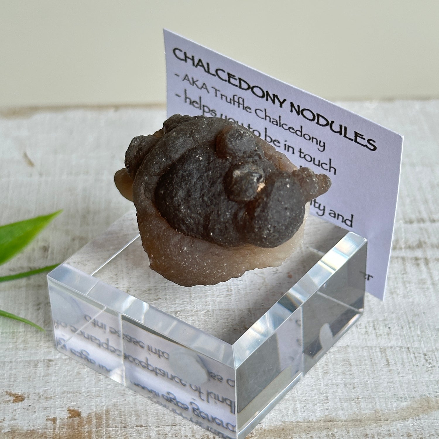 Chalcedony Nodules
