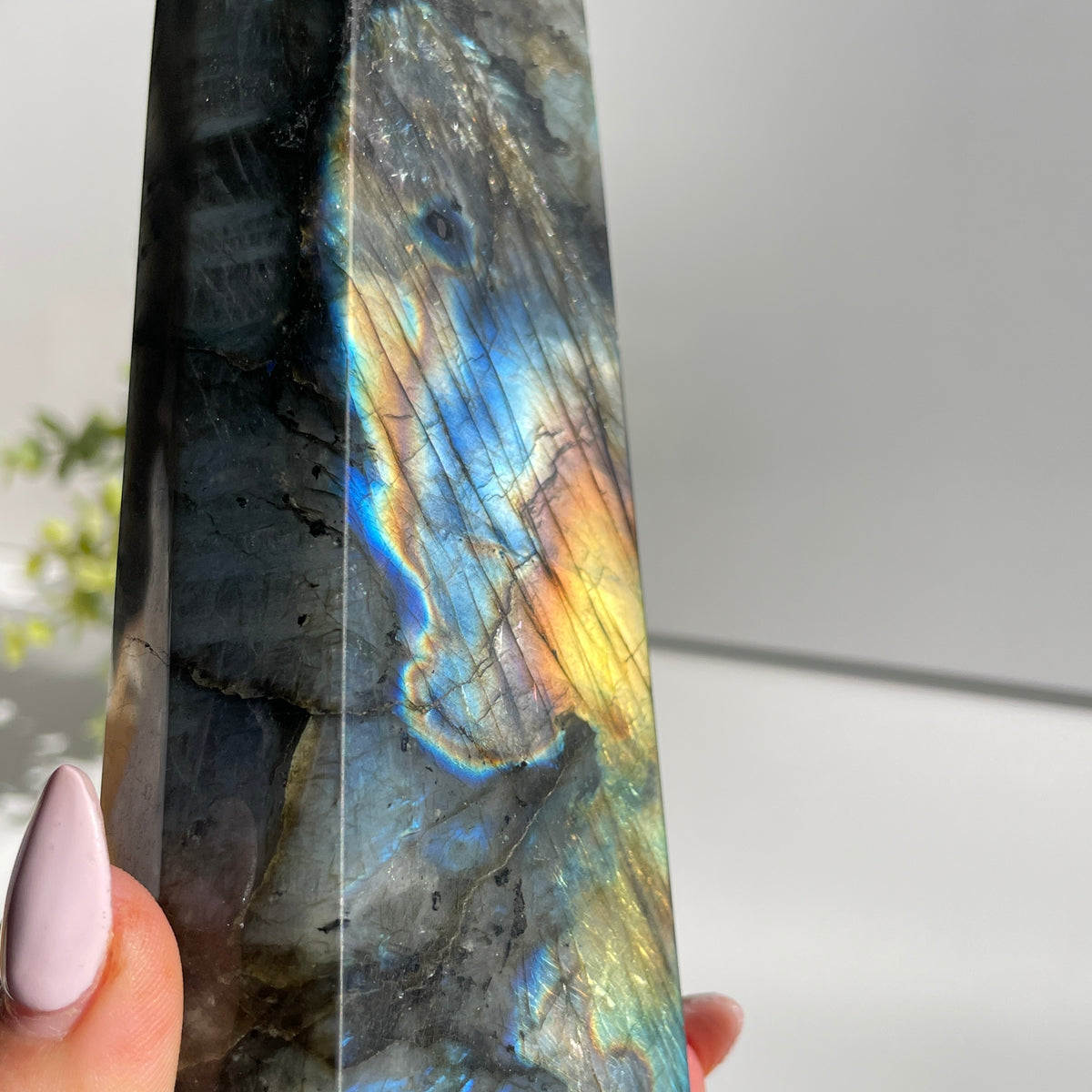 Labradorite Generator 24.4cm