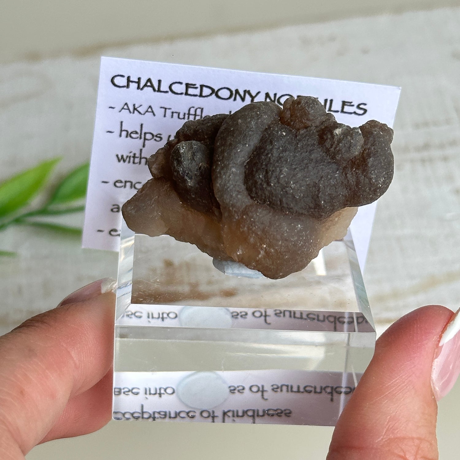 Chalcedony Nodules