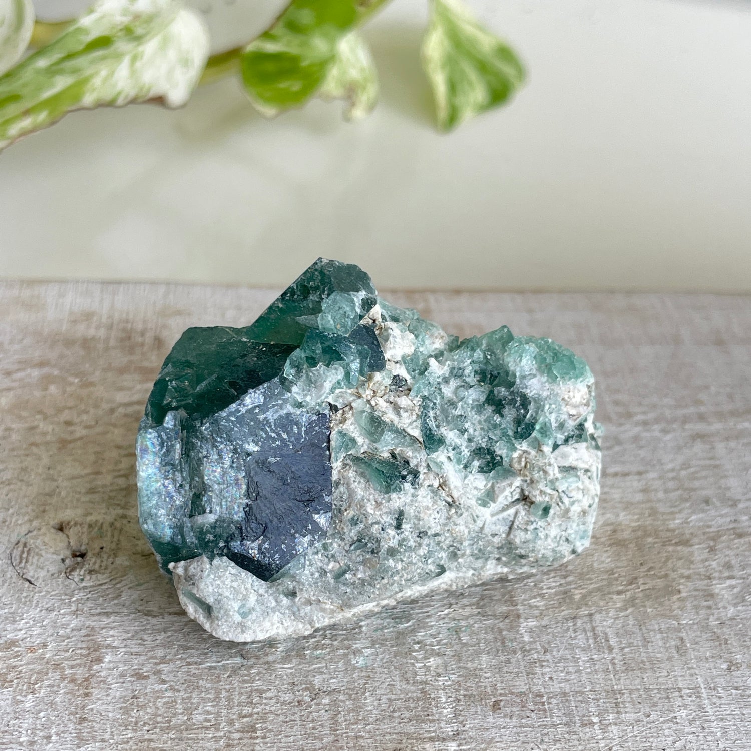 Cubic Fluorite Cluster 72g