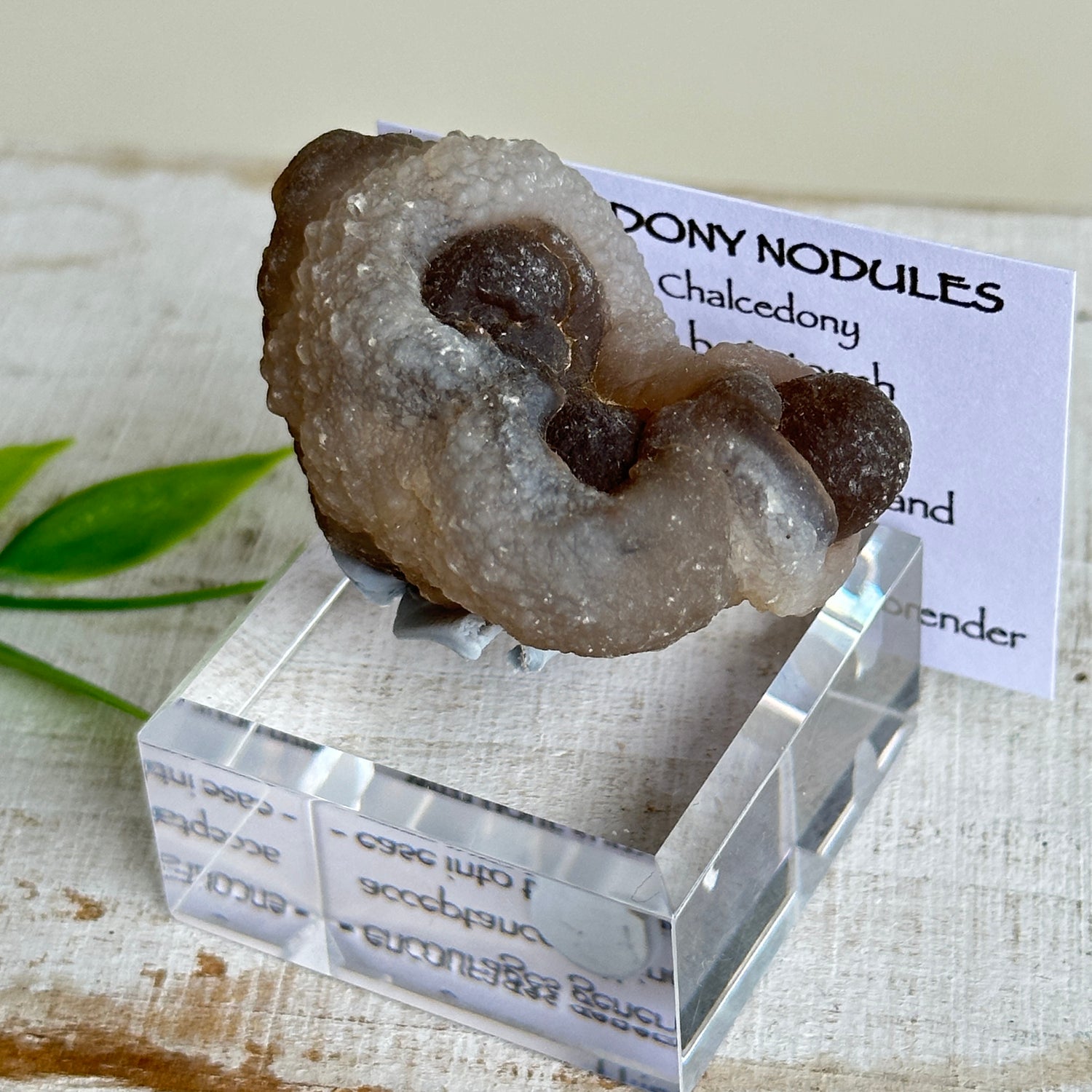 Chalcedony Nodules