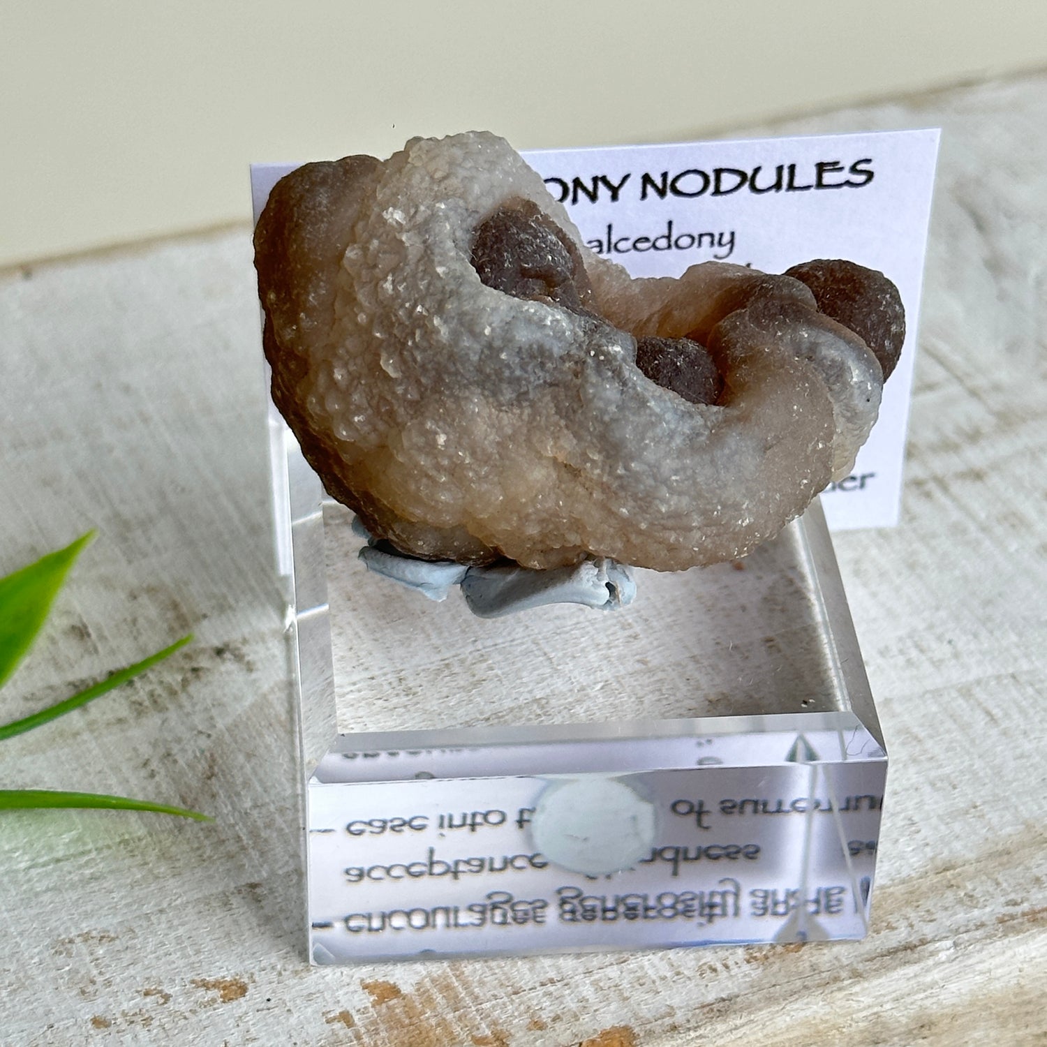 Chalcedony Nodules