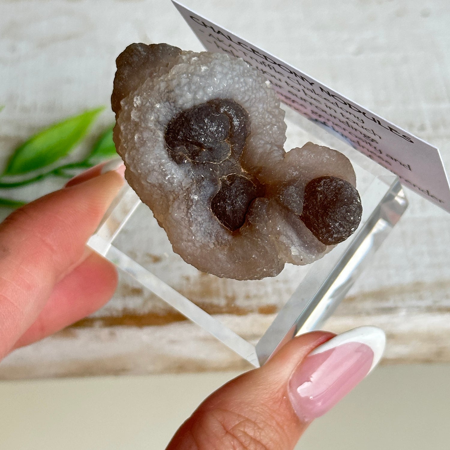 Chalcedony Nodules
