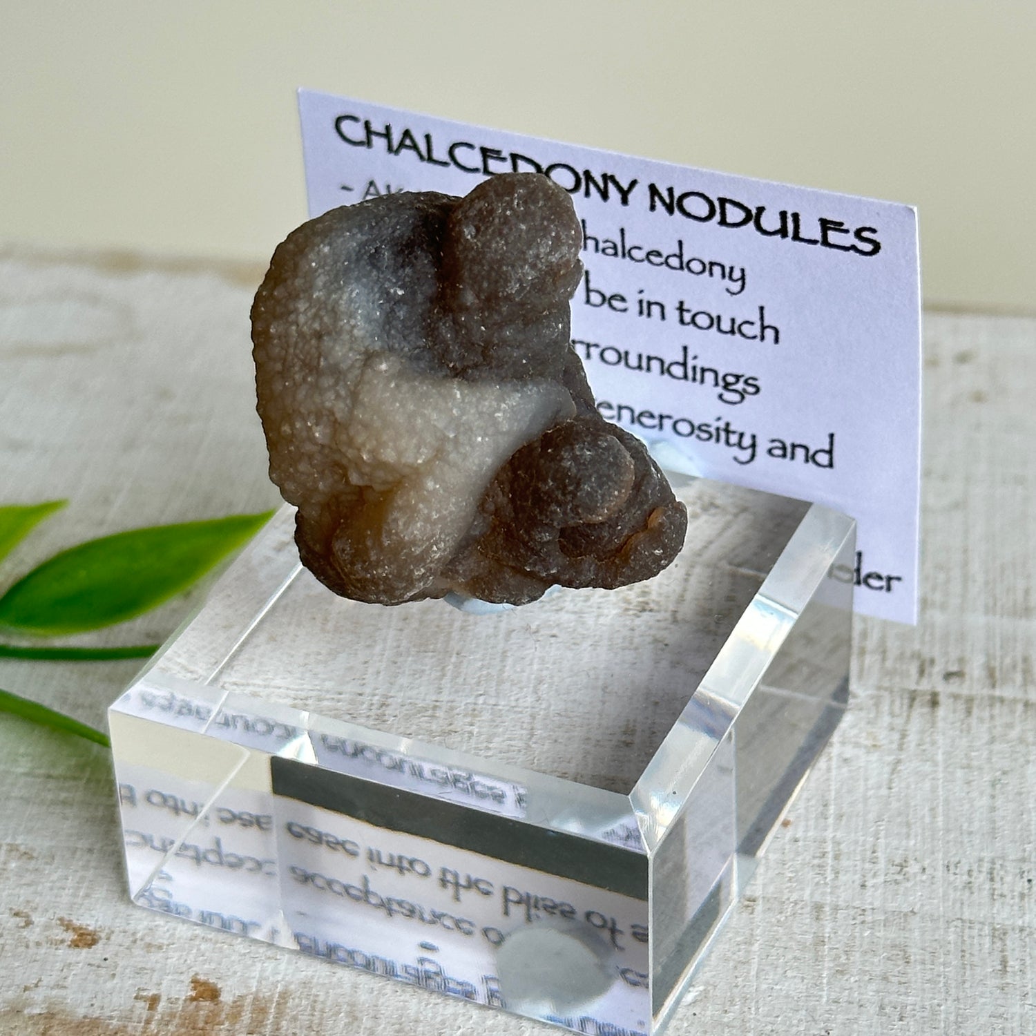 Chalcedony Nodules