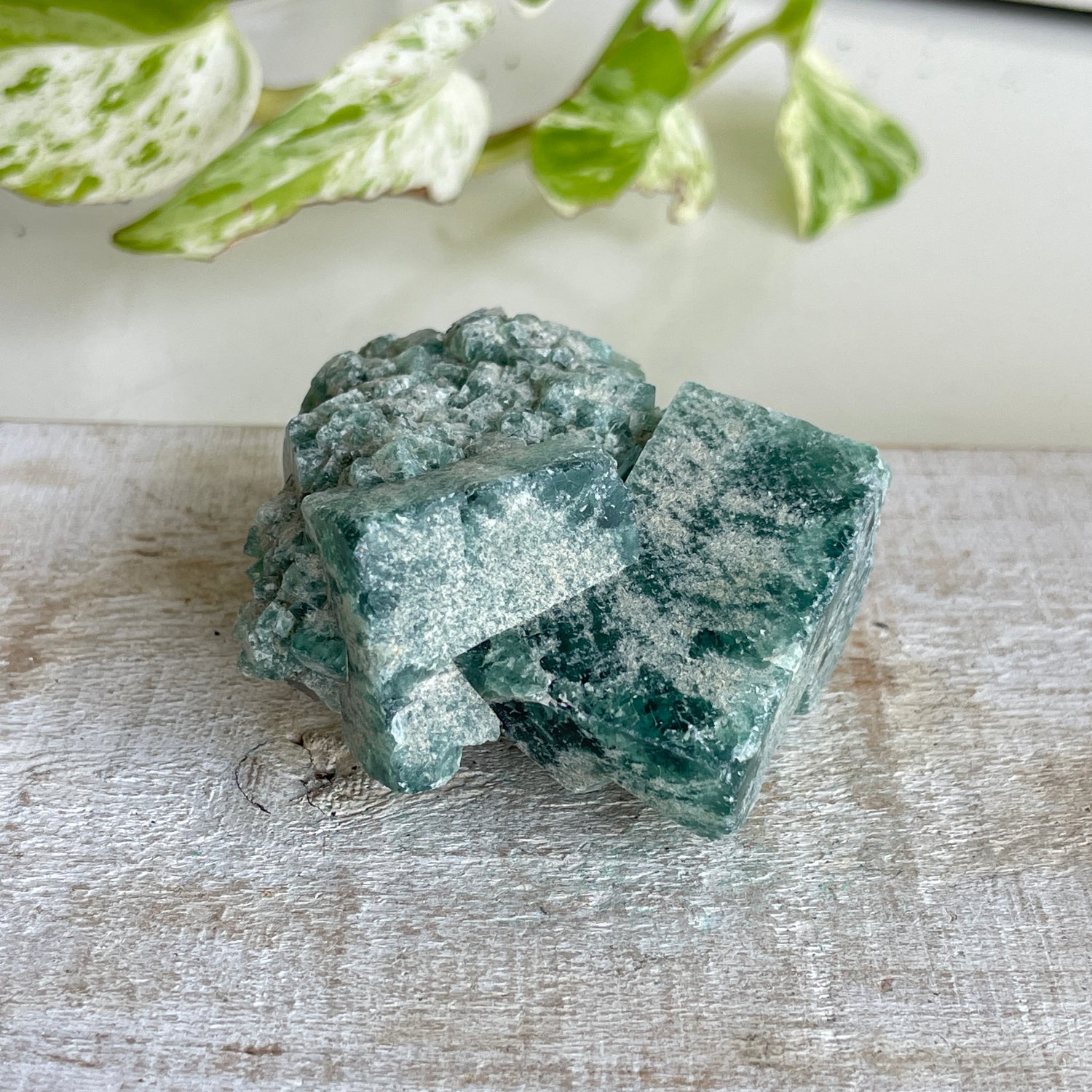 Cubic Fluorite Cluster 126g
