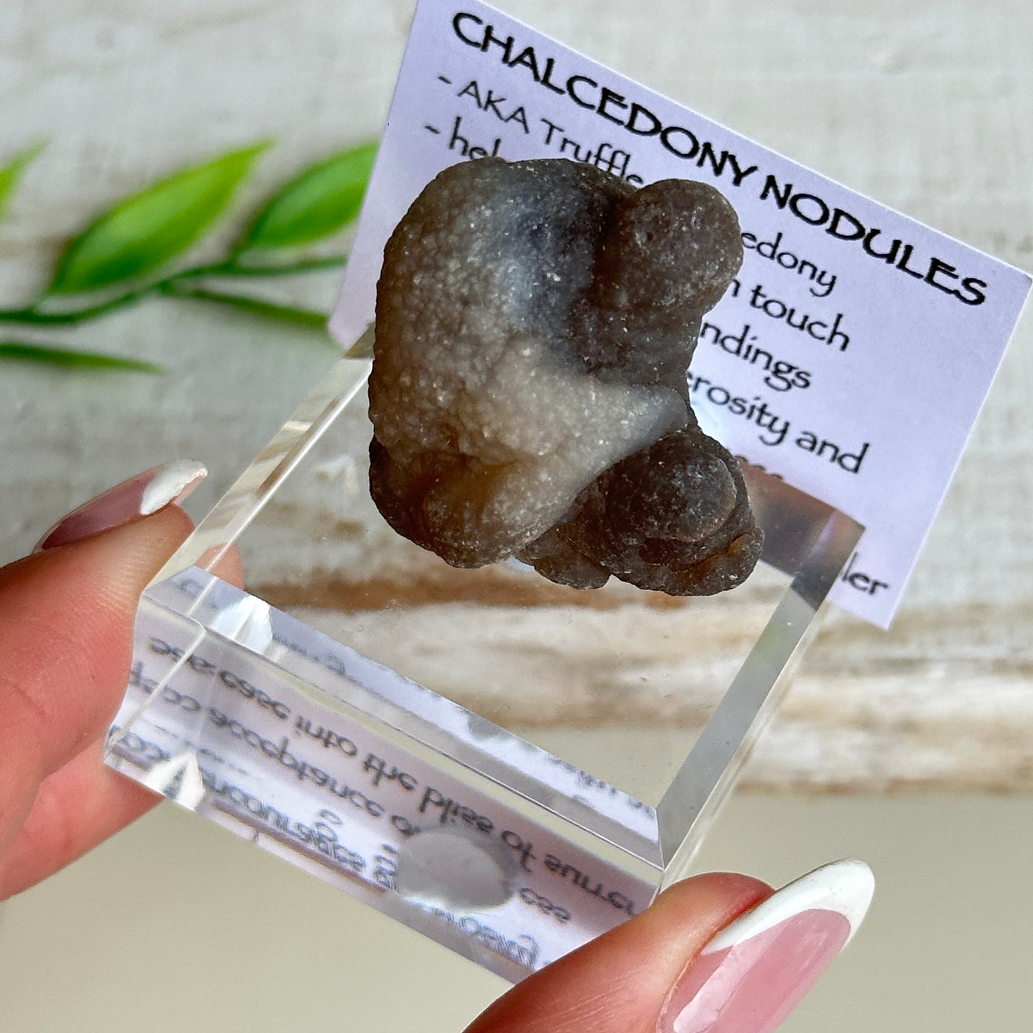 Chalcedony Nodules