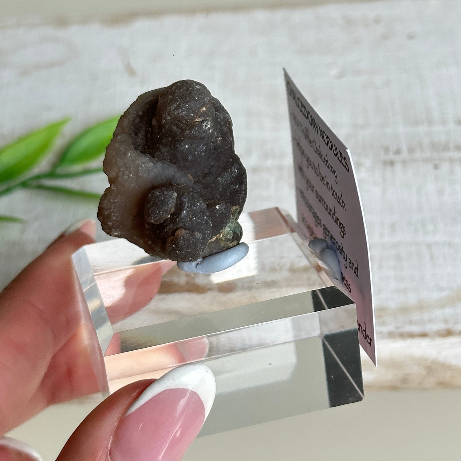 Chalcedony Nodules