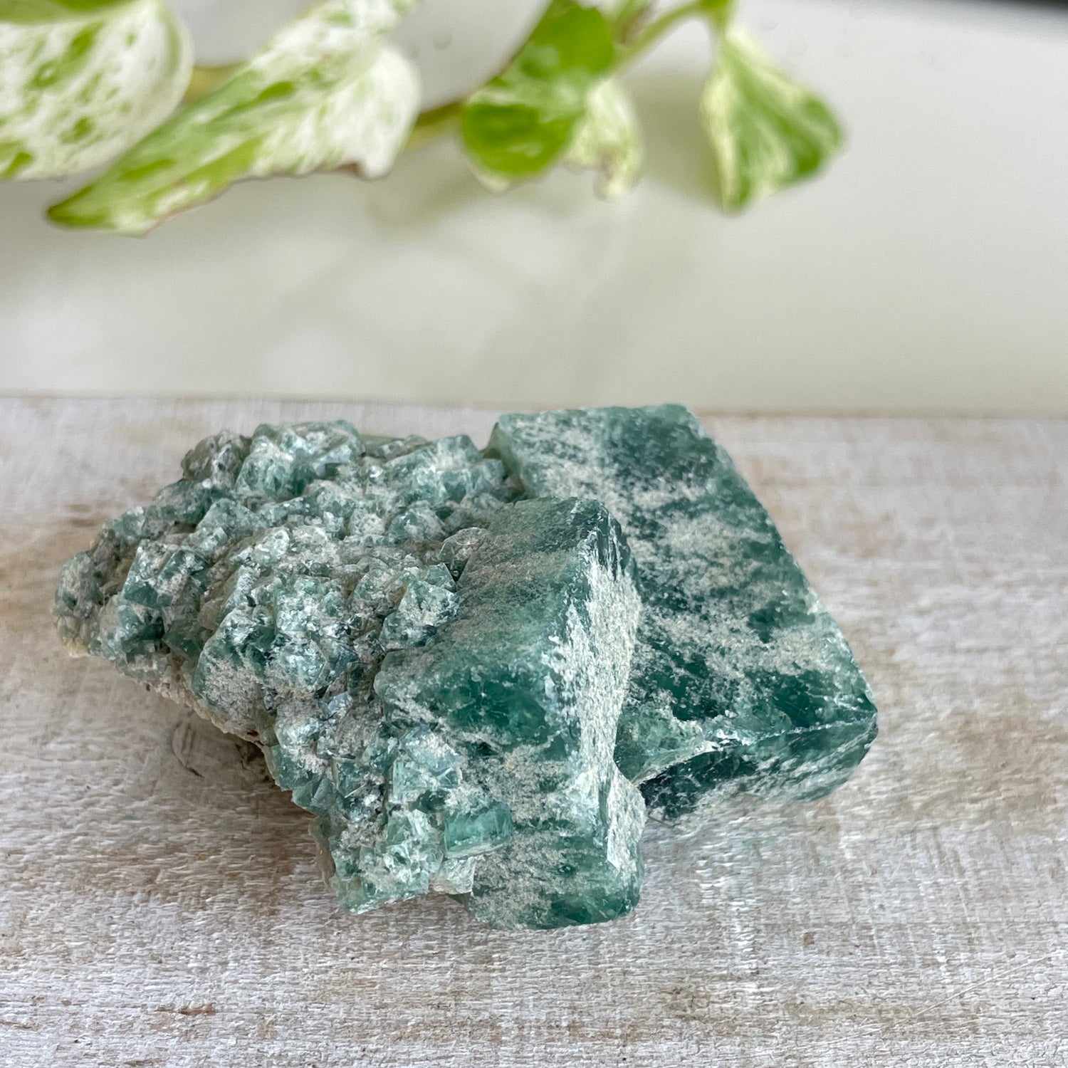 Cubic Fluorite Cluster 126g