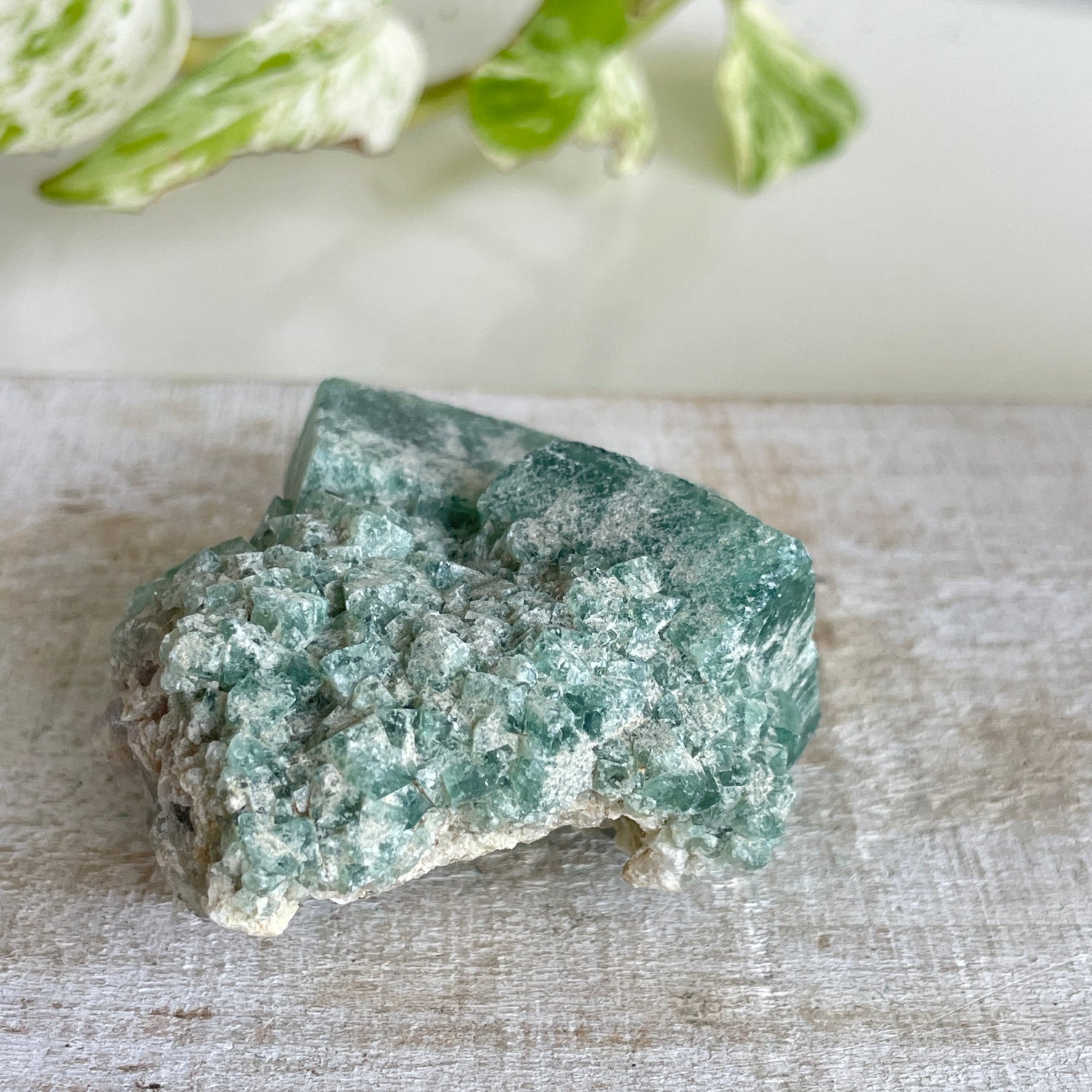 Cubic Fluorite Cluster 126g
