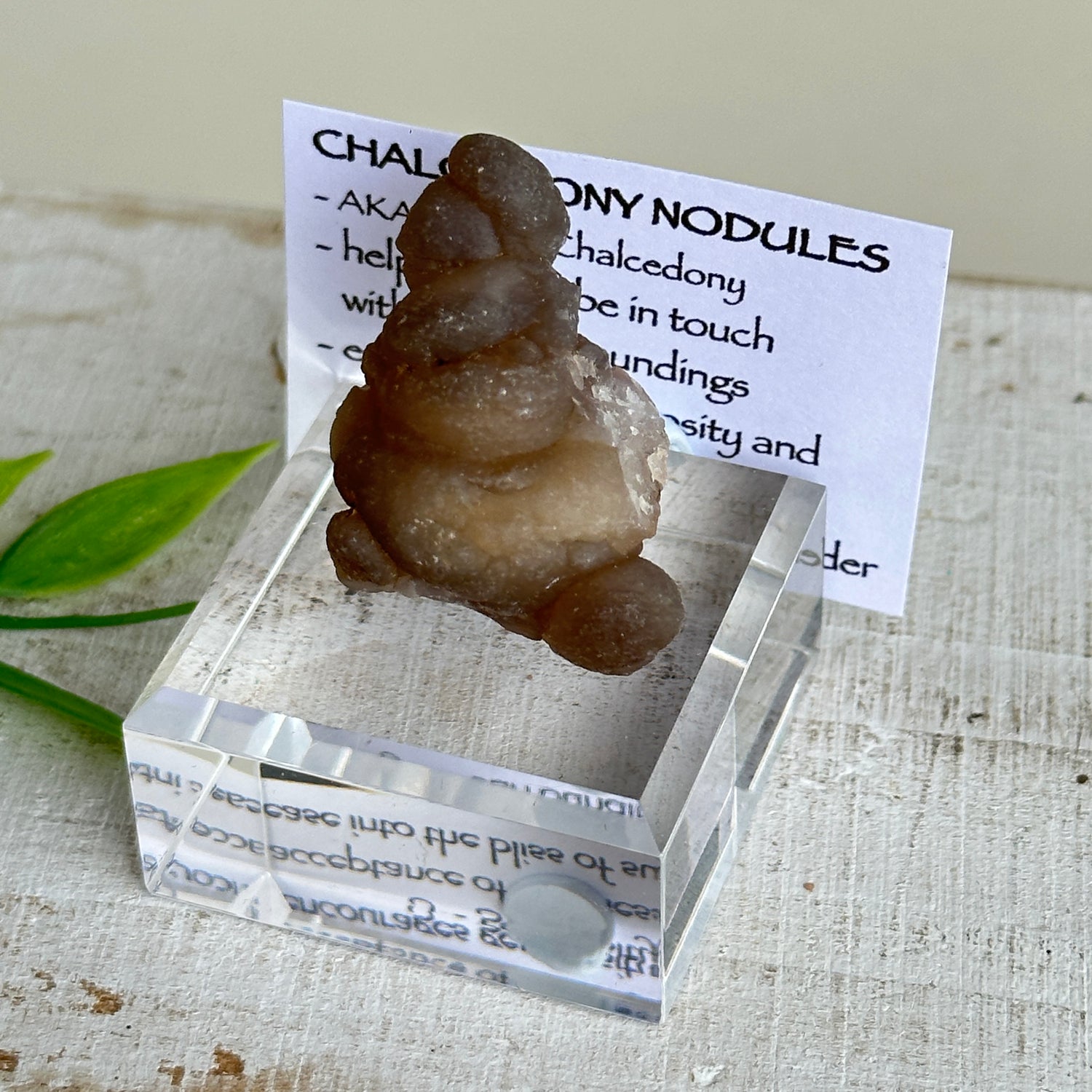 Chalcedony Nodules