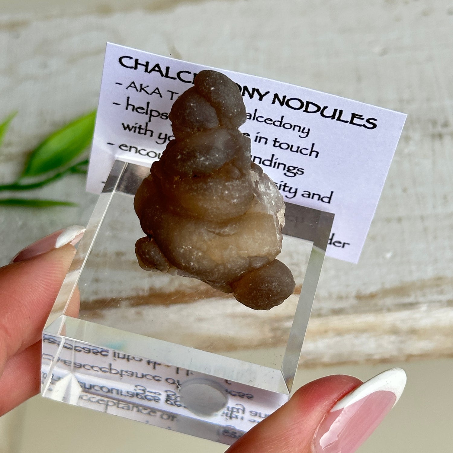 Chalcedony Nodules