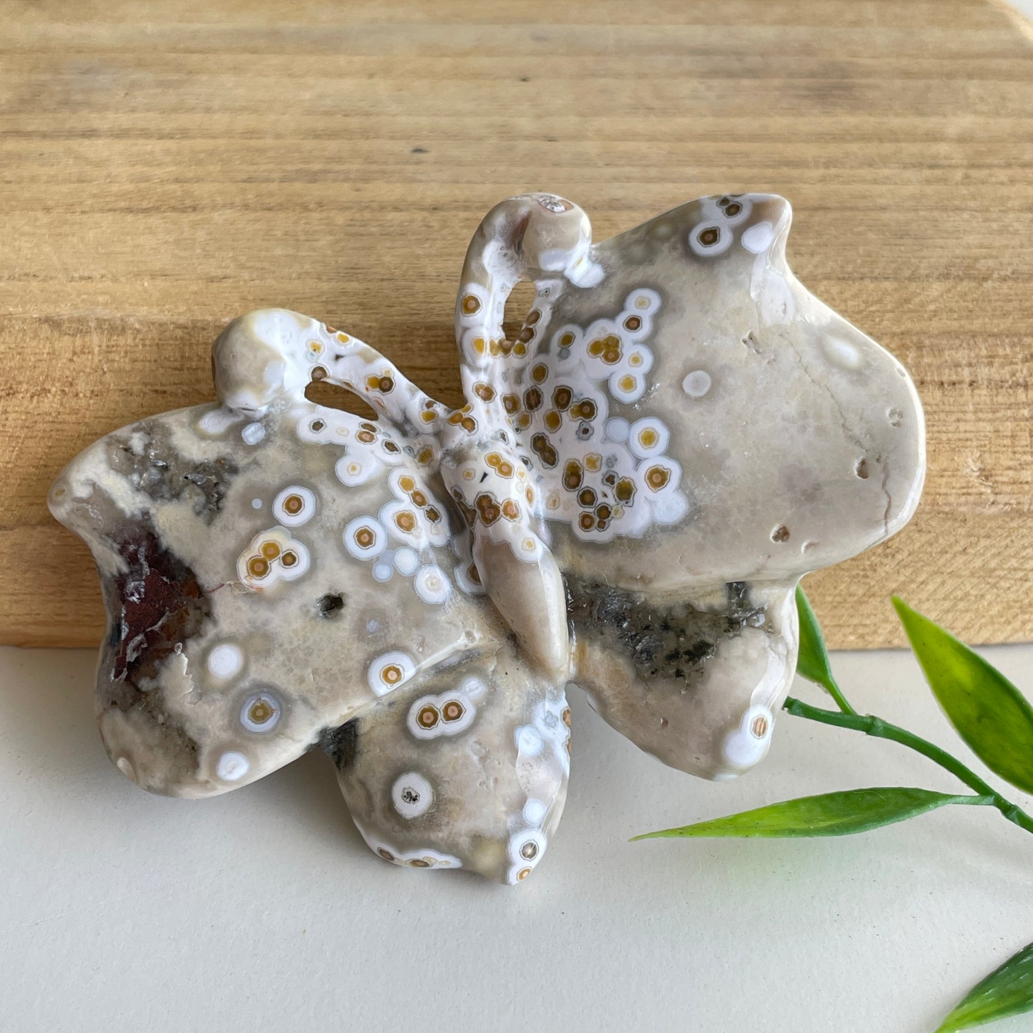 Orbicular Ocean Jasper Butterfly 8.2cm