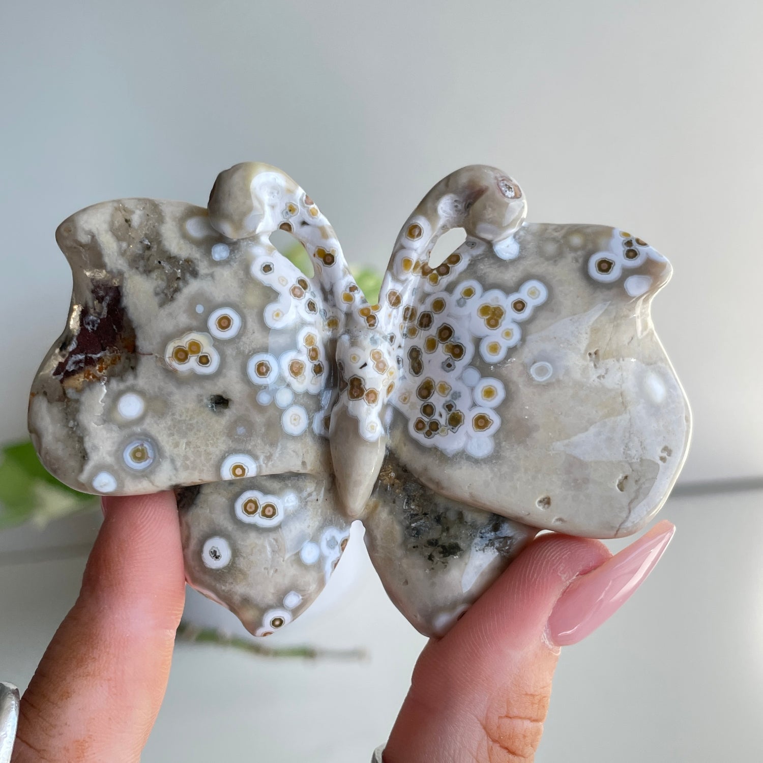 Orbicular Ocean Jasper Butterfly 8.2cm