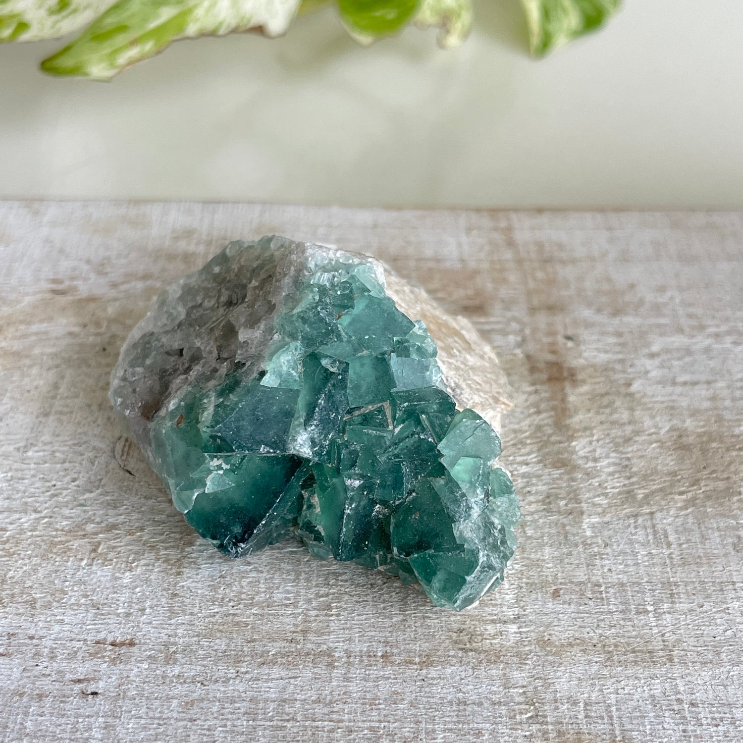 Cubic Fluorite Cluster 76g