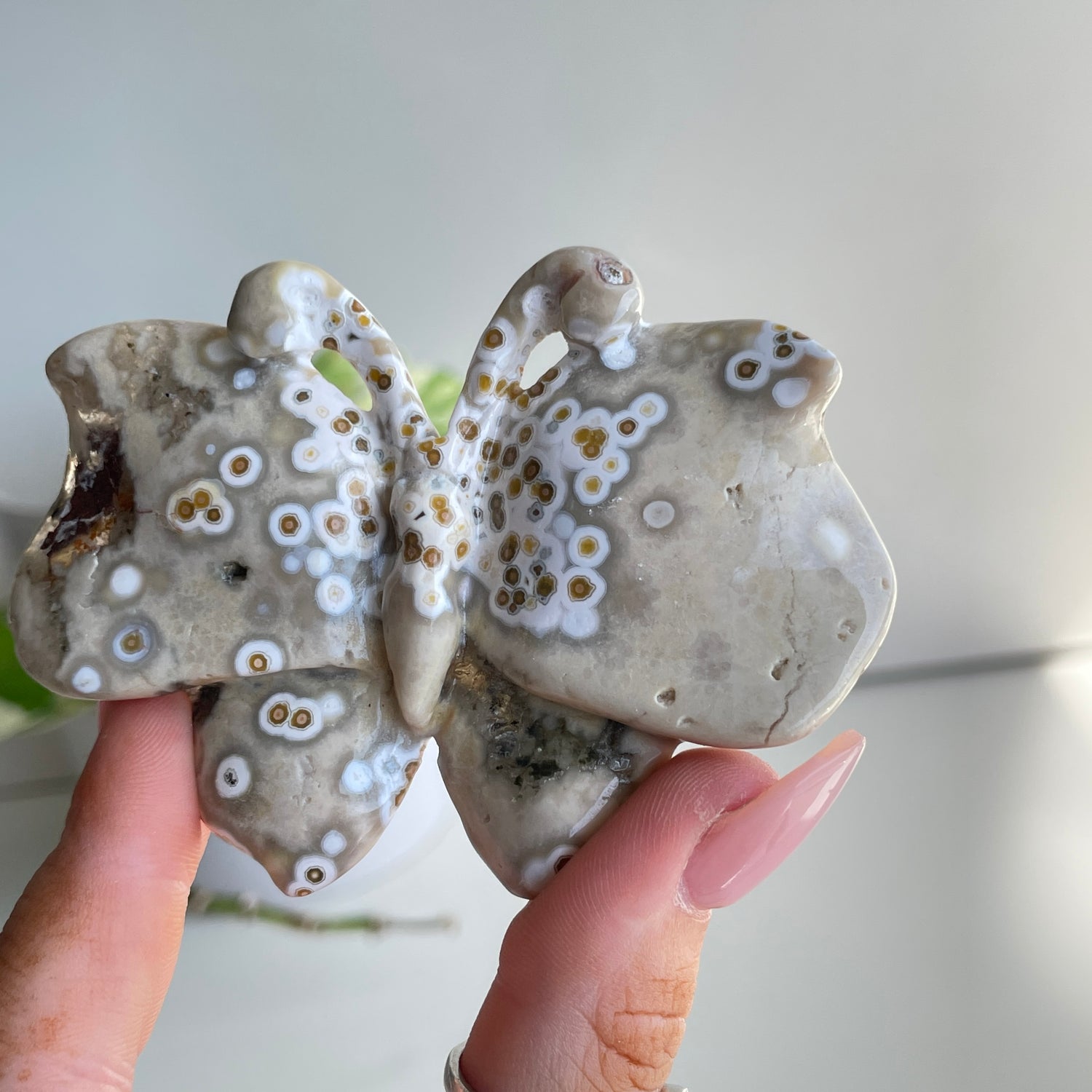 Orbicular Ocean Jasper Butterfly 8.2cm