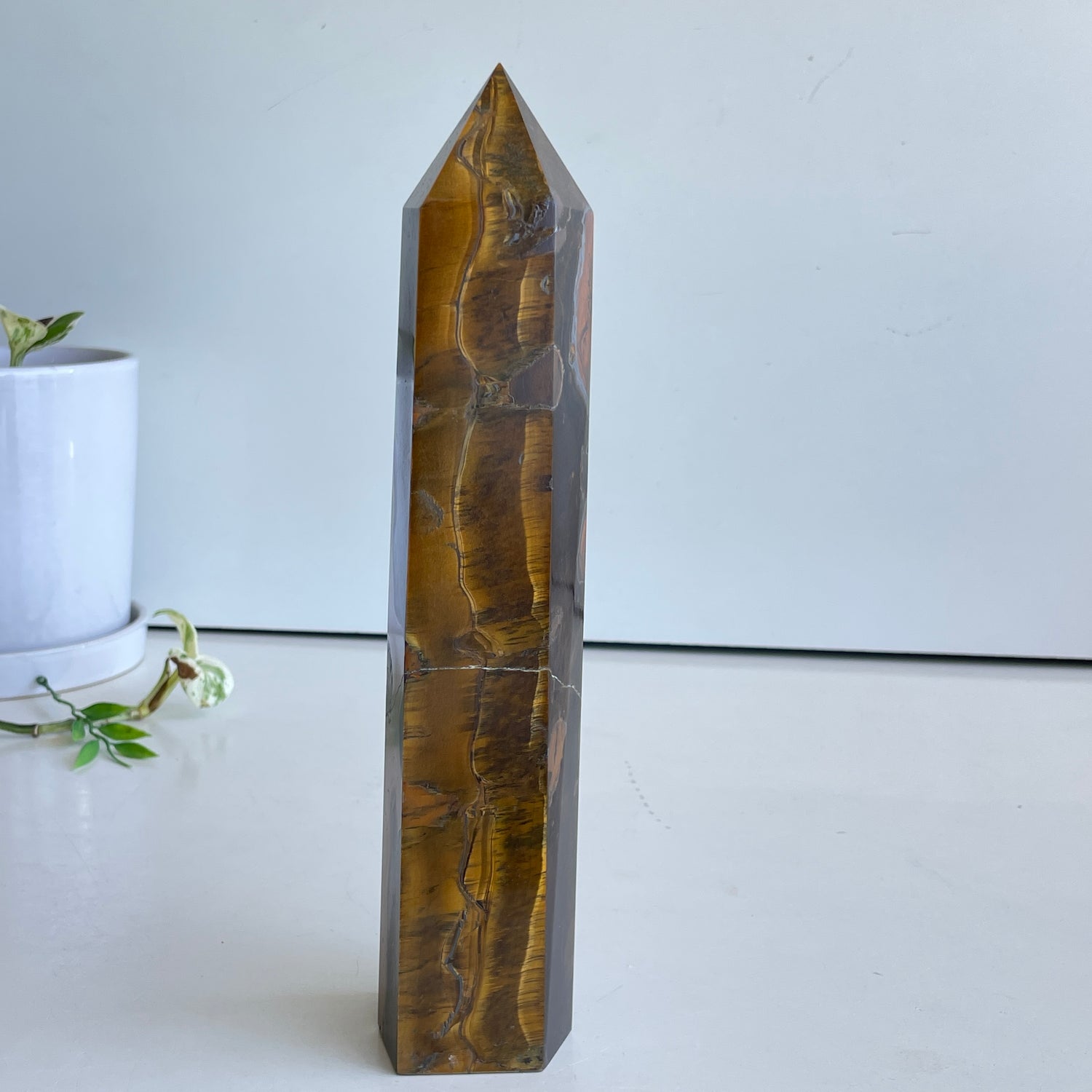 Tigers Eye Generator 25.1cm