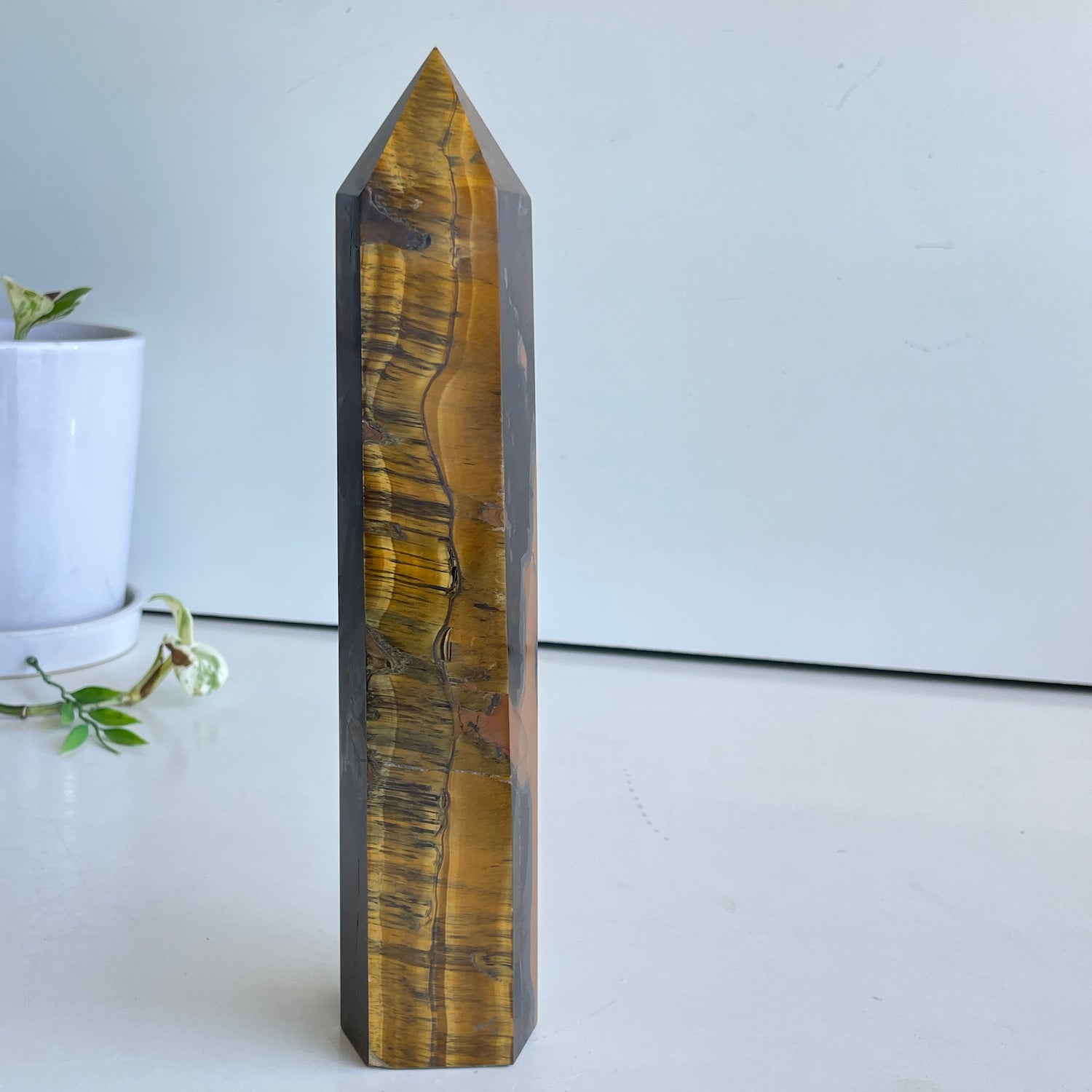 Tigers Eye Generator 25.1cm