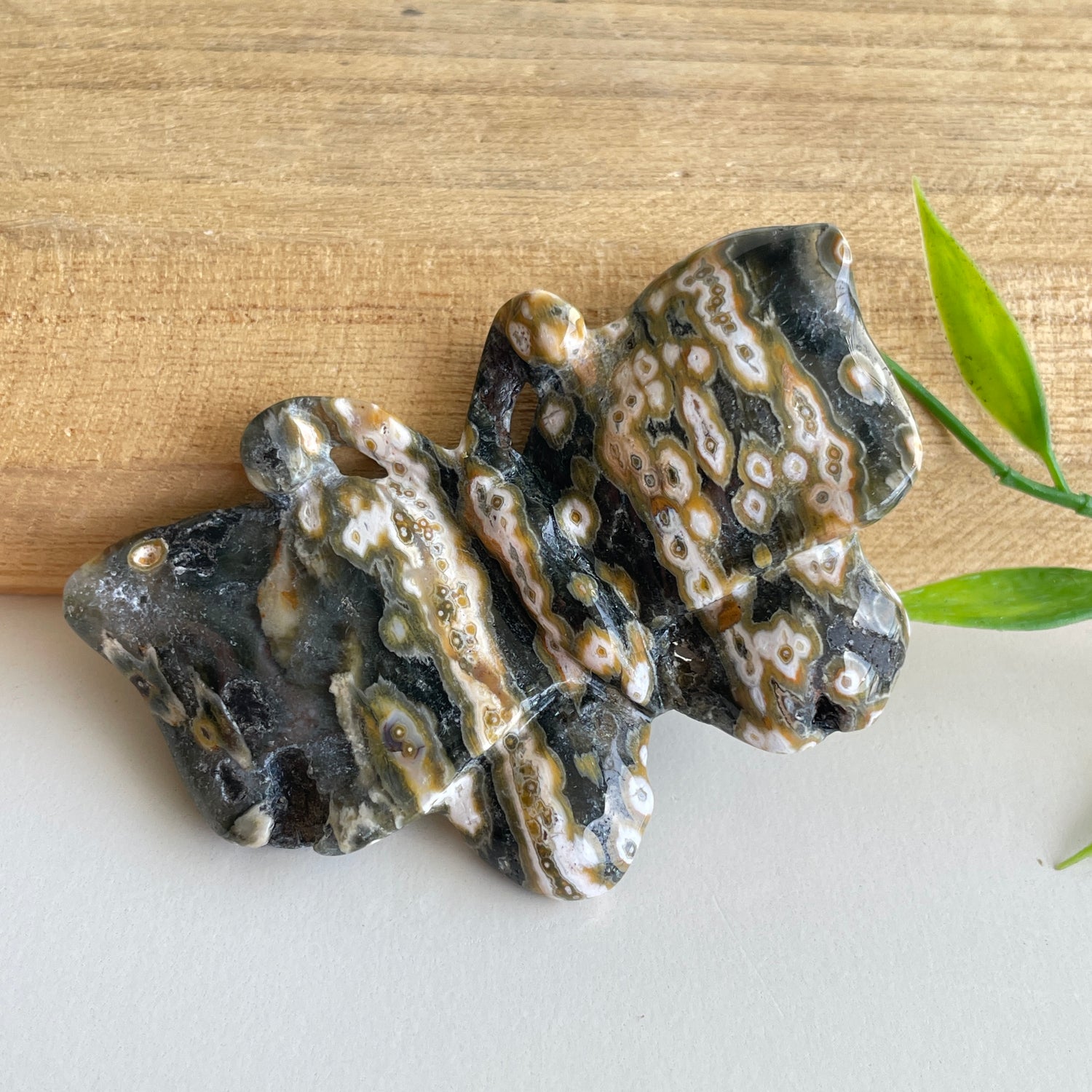 Orbicular Ocean Jasper Butterfly 7.3cm