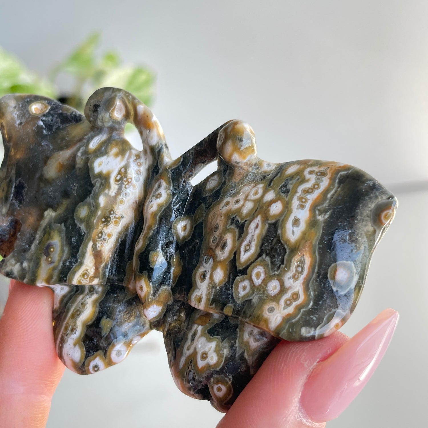 Orbicular Ocean Jasper Butterfly 7.3cm
