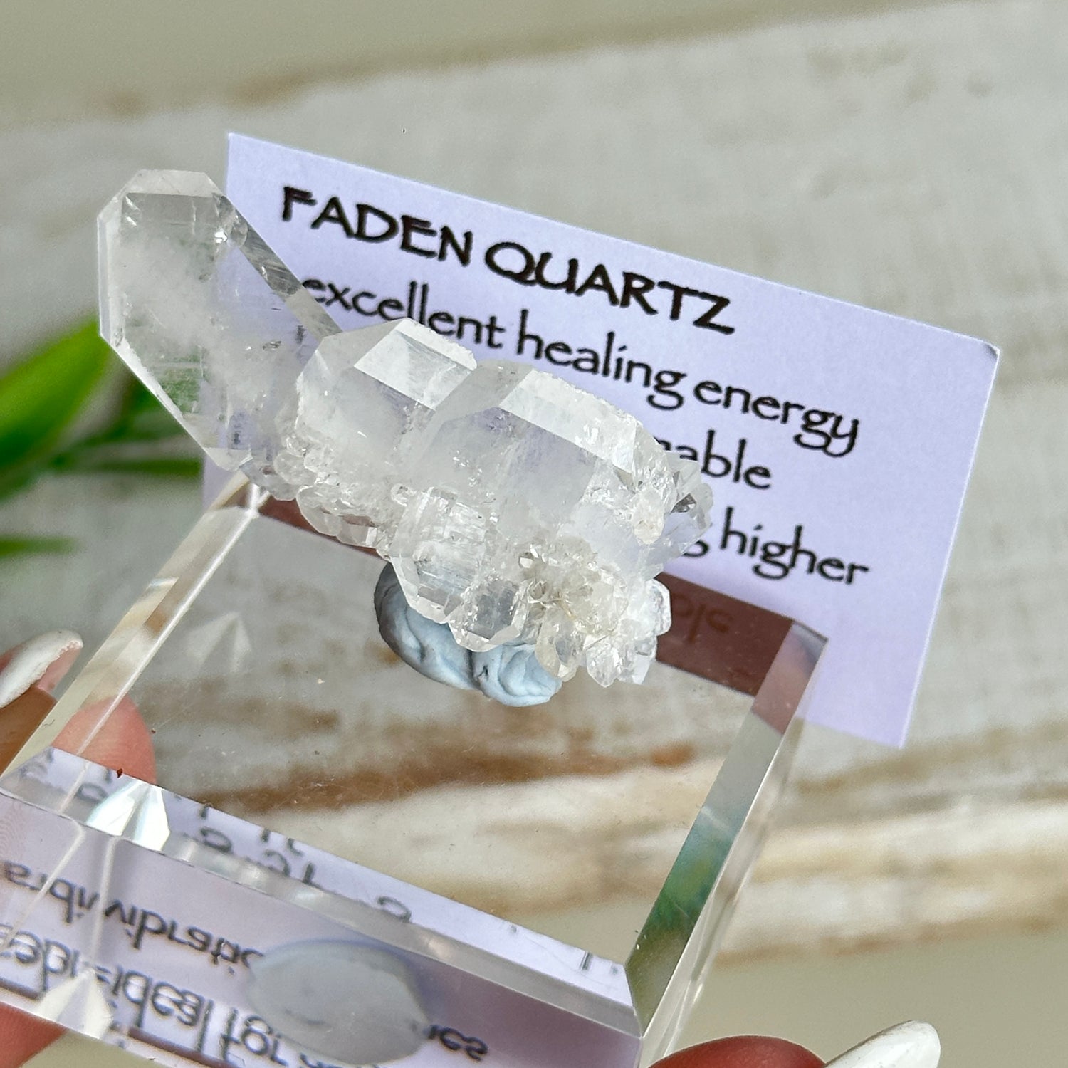 Faden Quartz Pc