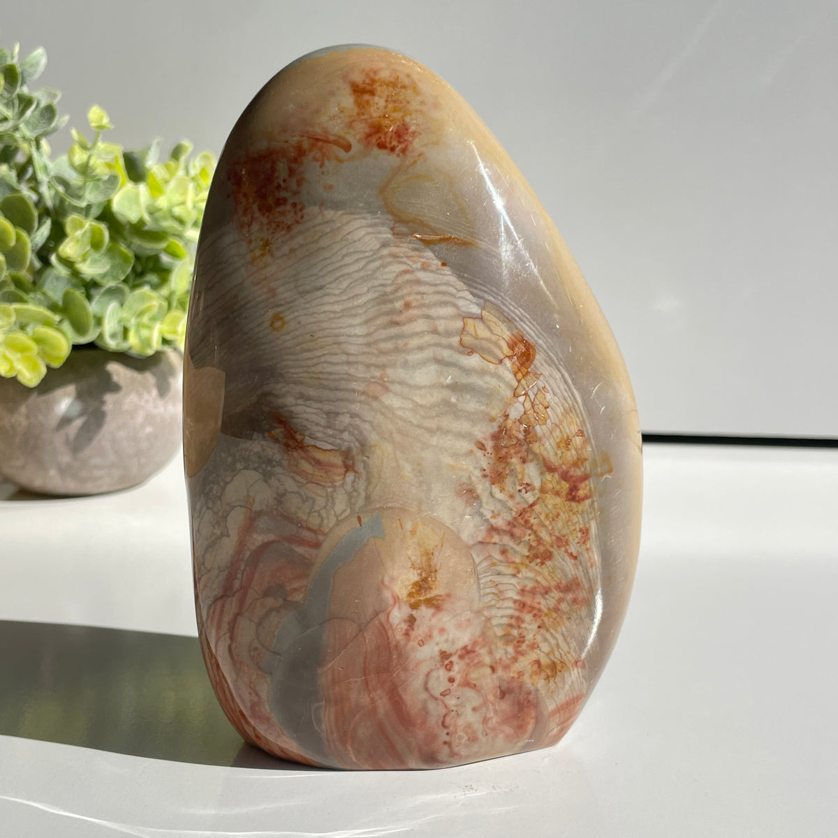 Polychrome Jasper Freeform 15.7cm