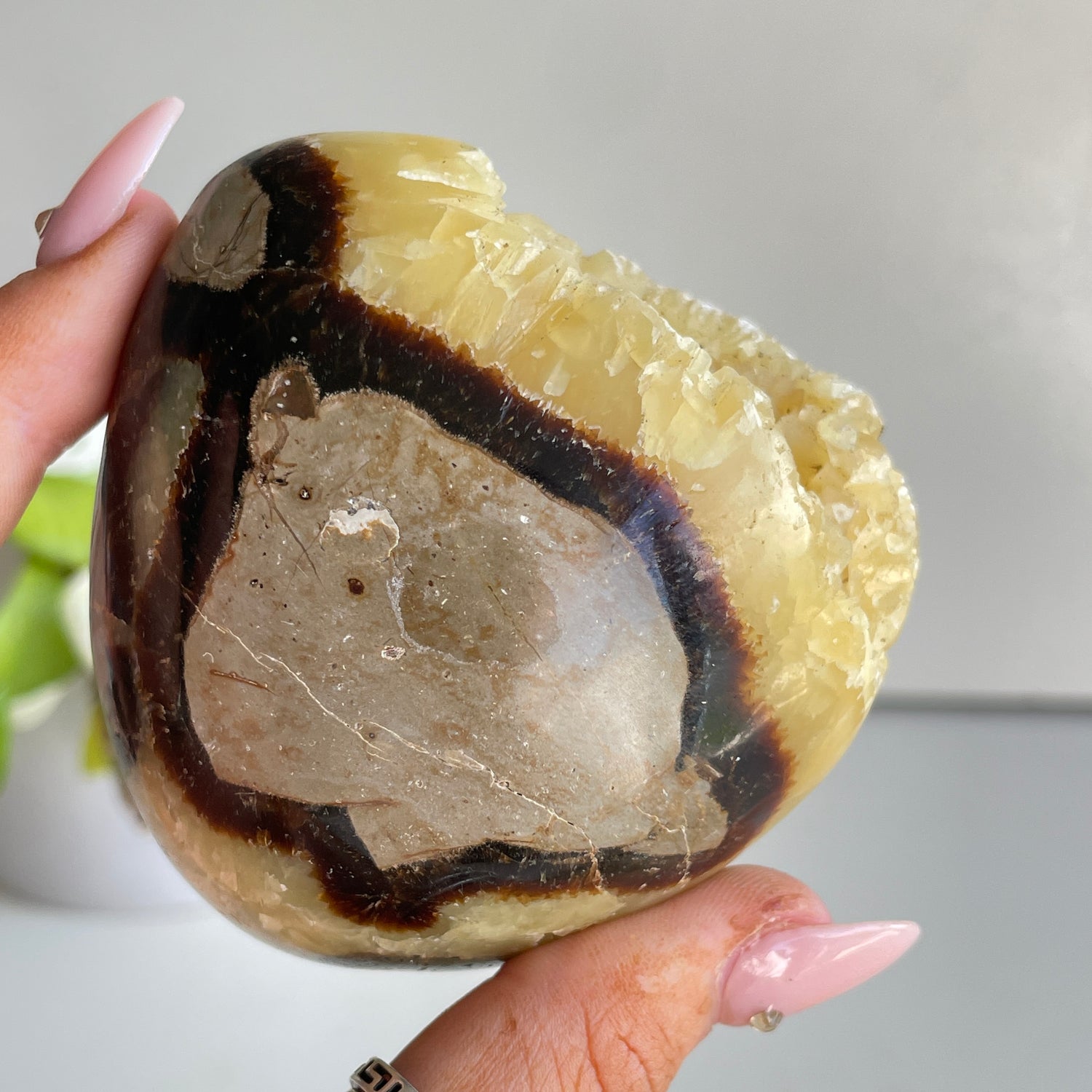Septarian Freeform 6.7cm