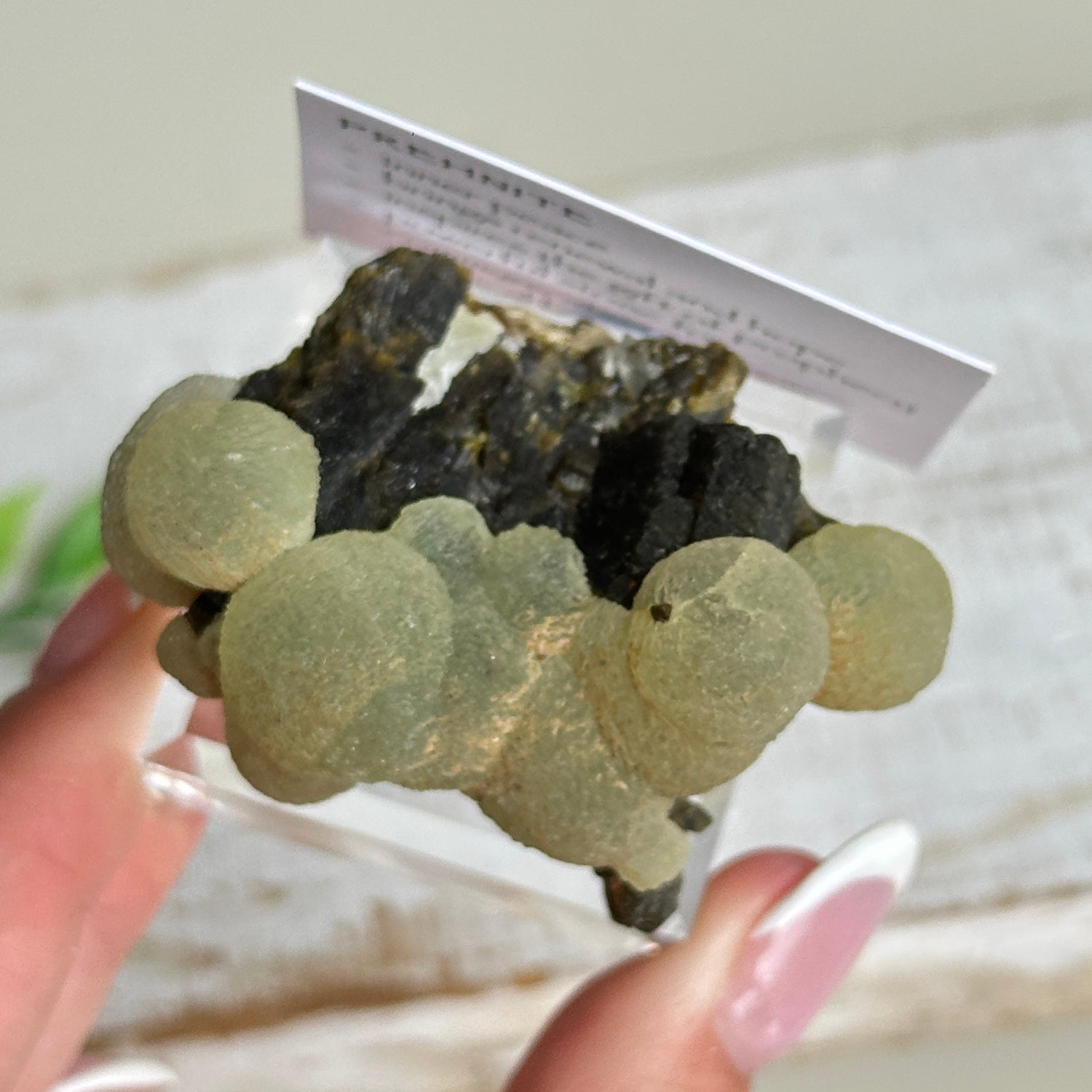 Prehnite Pc