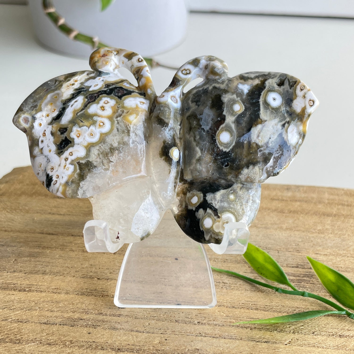 Orbicular Ocean Jasper Butterfly 9cm