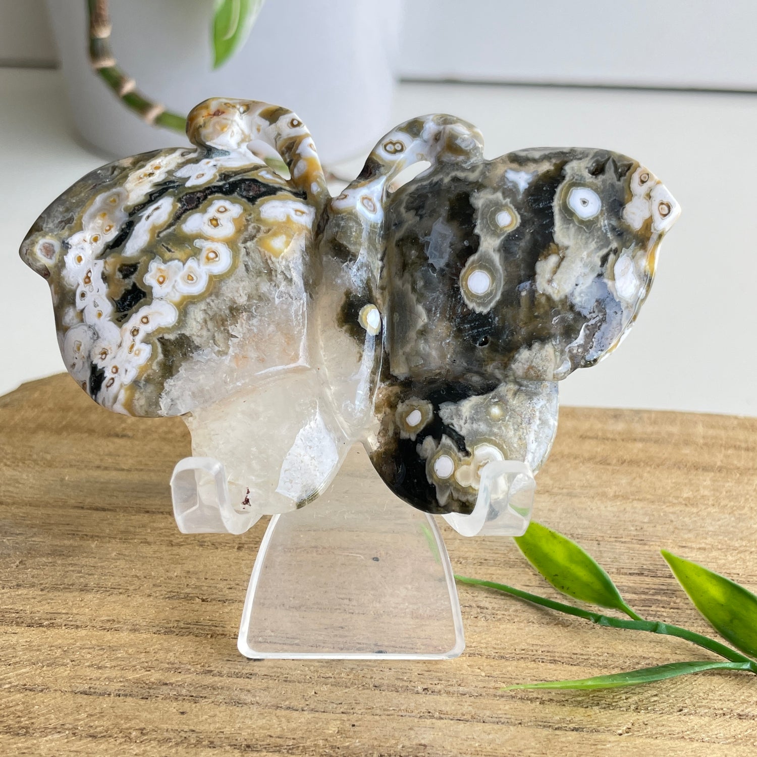 Orbicular Ocean Jasper Butterfly 9cm