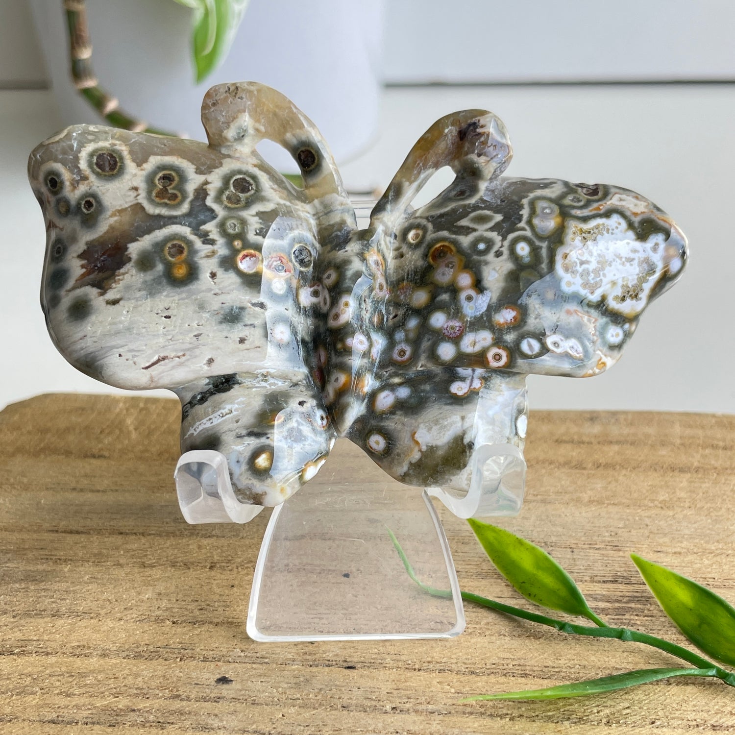 Orbicular Ocean Jasper Butterfly 9.5cm