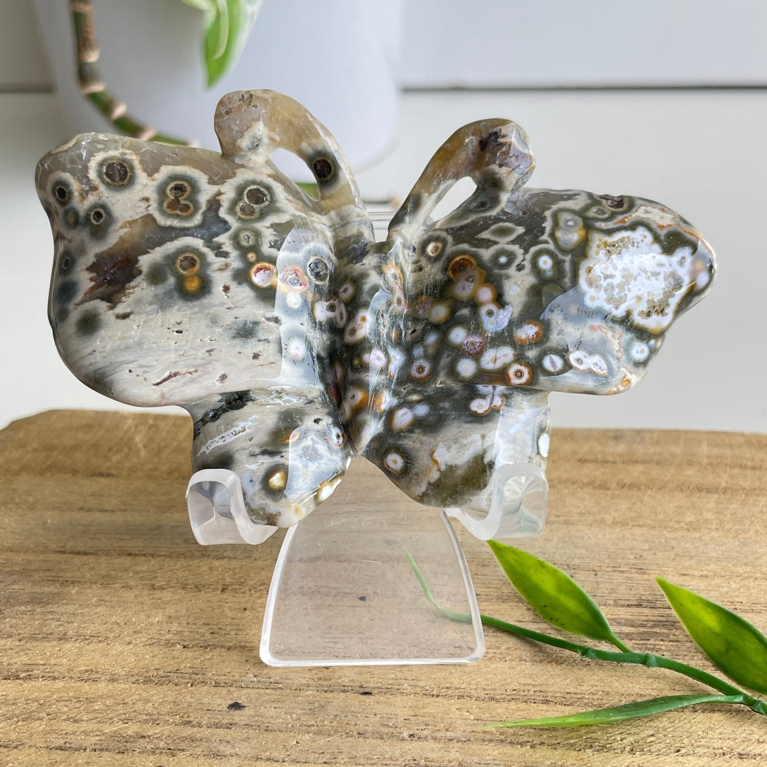 Orbicular Ocean Jasper Butterfly 9.5cm