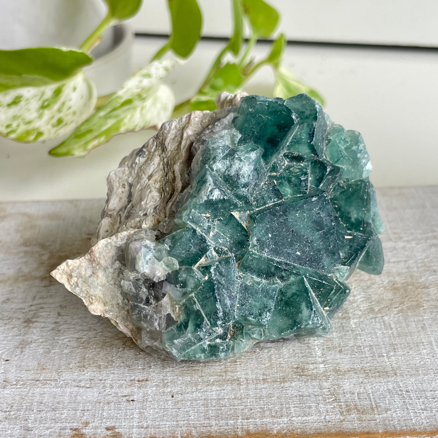 Cubic Fluorite Cluster 322g
