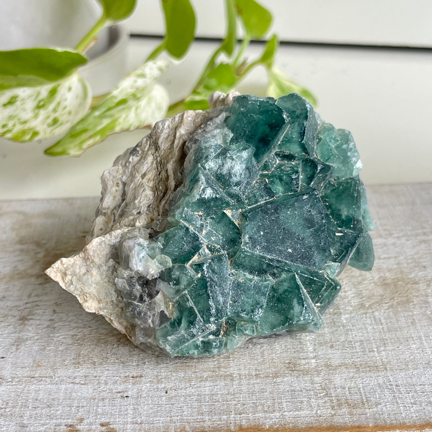 Cubic Fluorite Cluster 322g