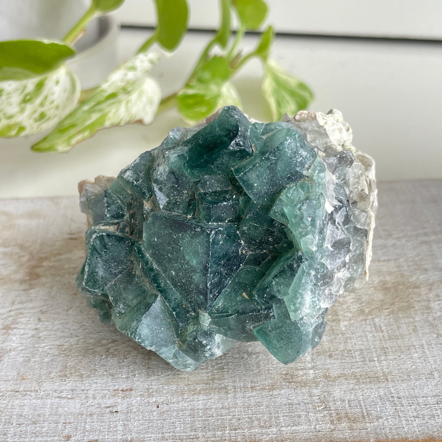 Cubic Fluorite Cluster 322g