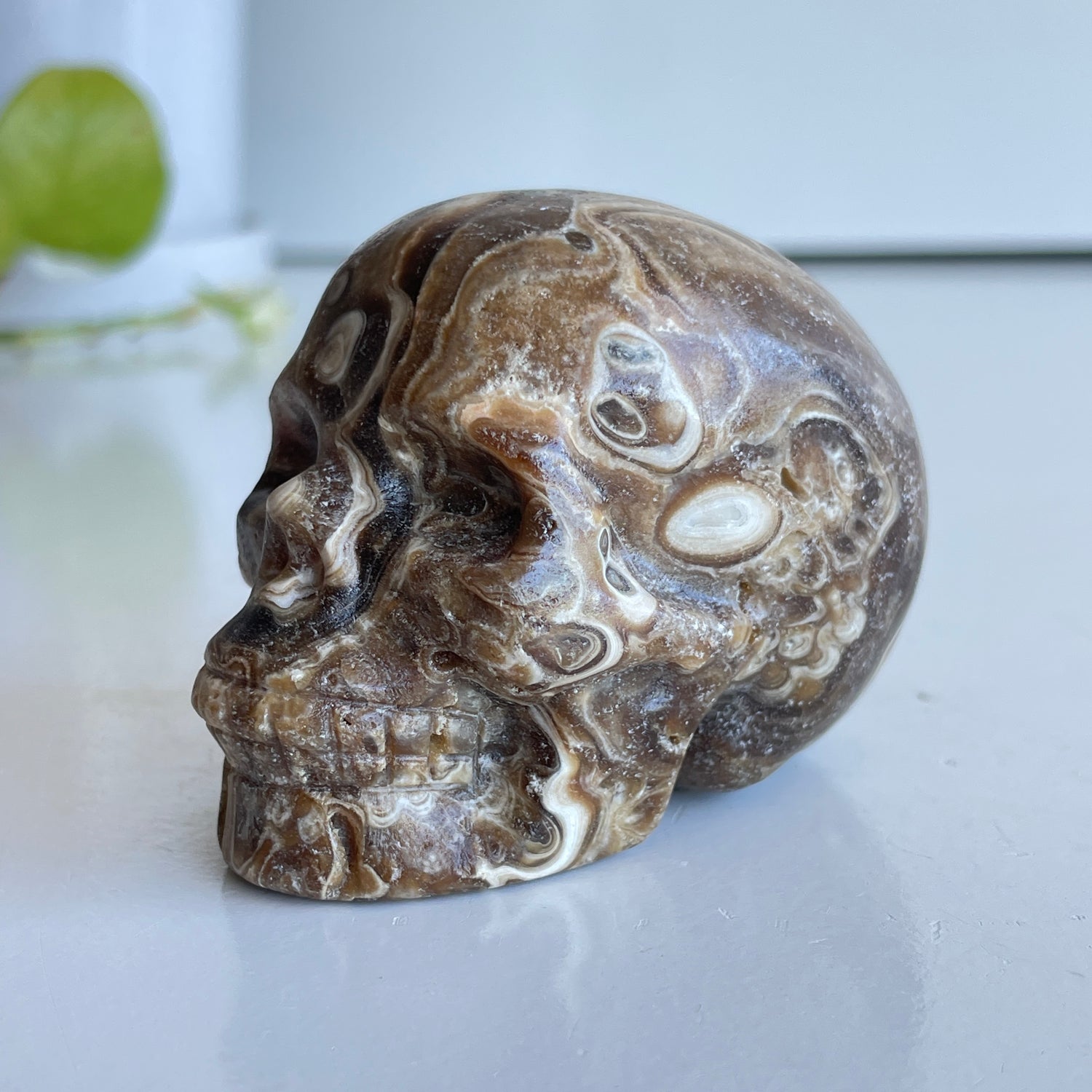 Chocolate Calcite Skull 3