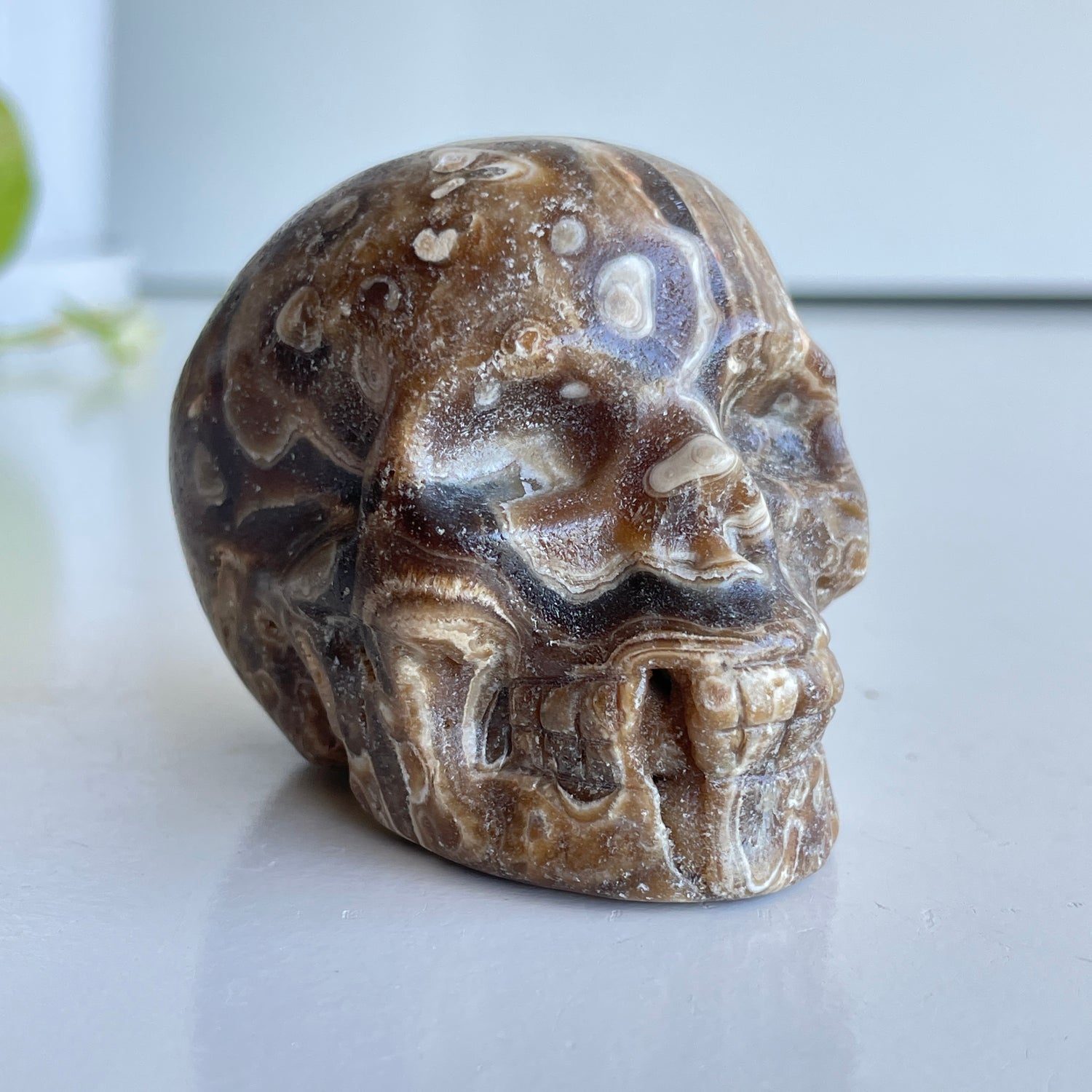 Chocolate Calcite Skull 3